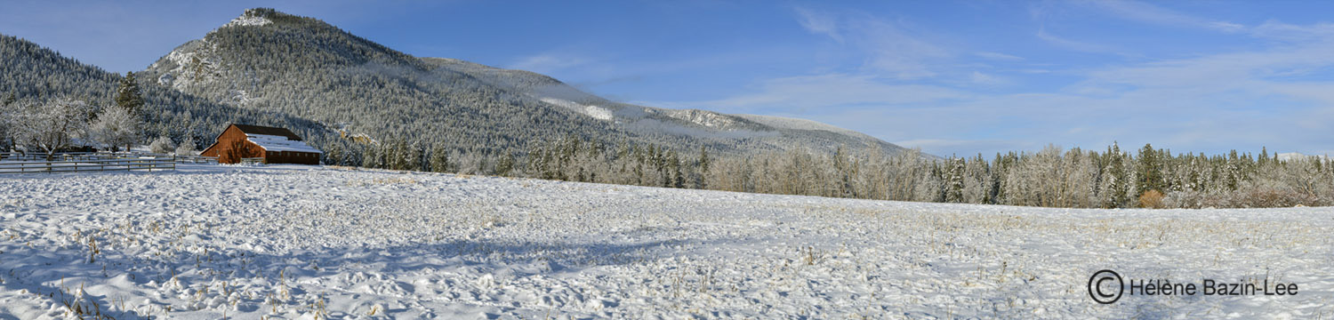 Barn Kootenai  2786 Pano.jpg