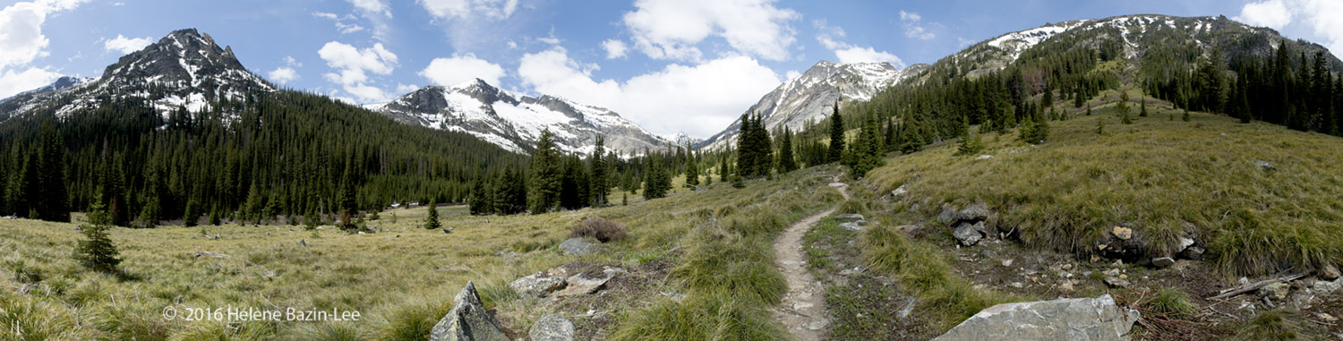 Bass Meadow2_7426 PANO.jpg