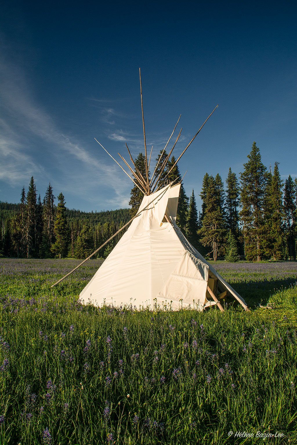 Packer Meadow