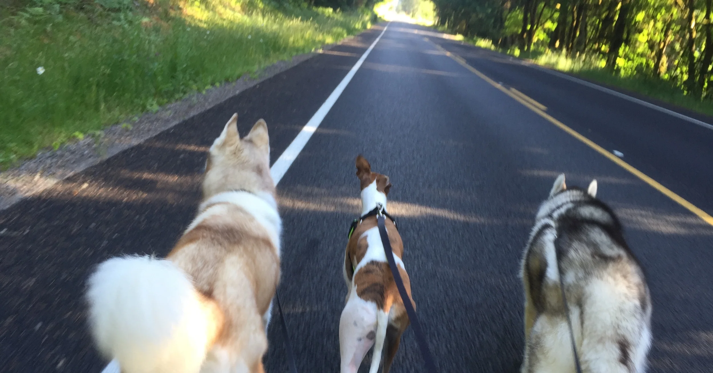 Jim's Phone 6,08,2015 283.JPG