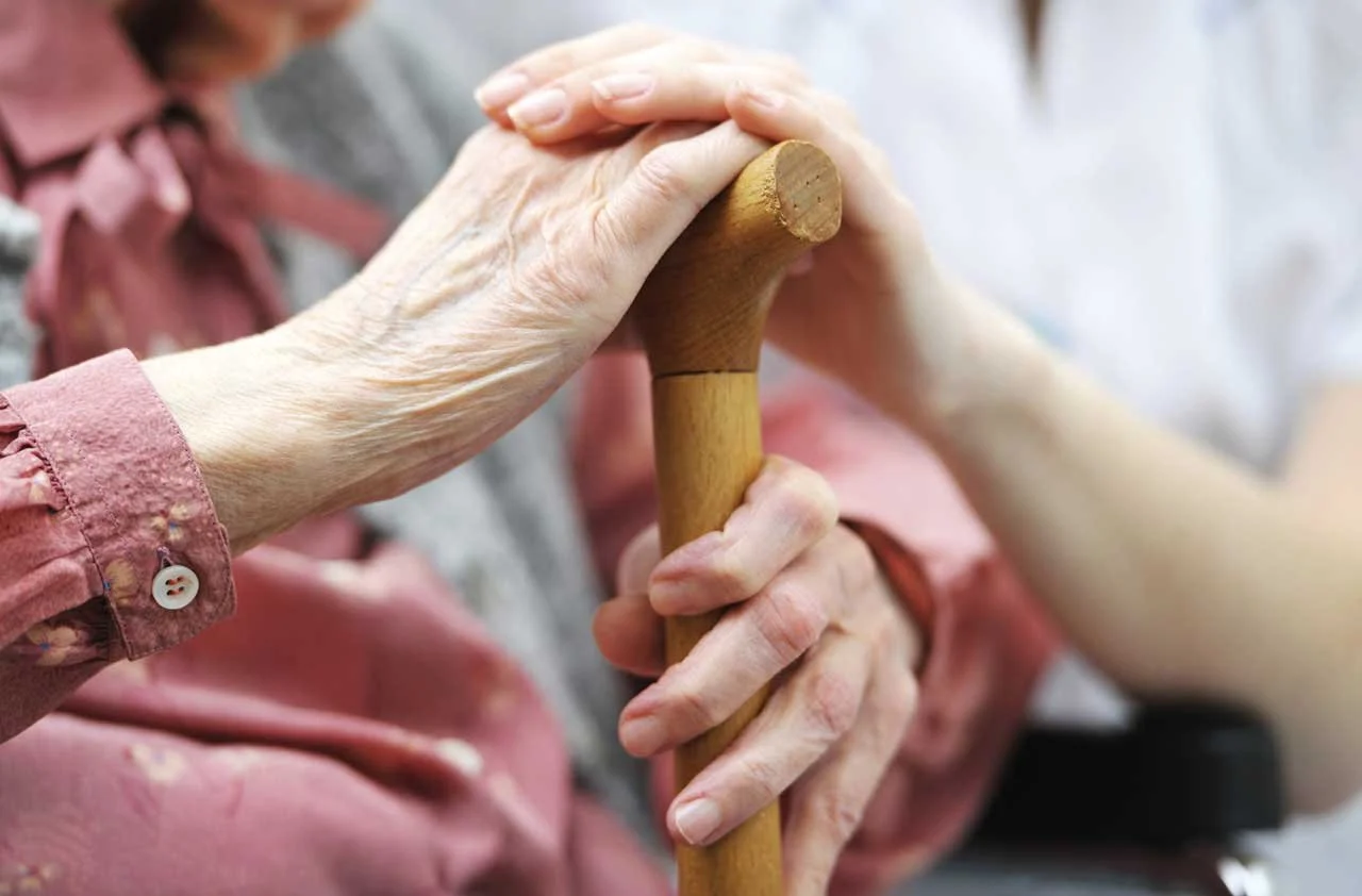 geriatrics.jpg