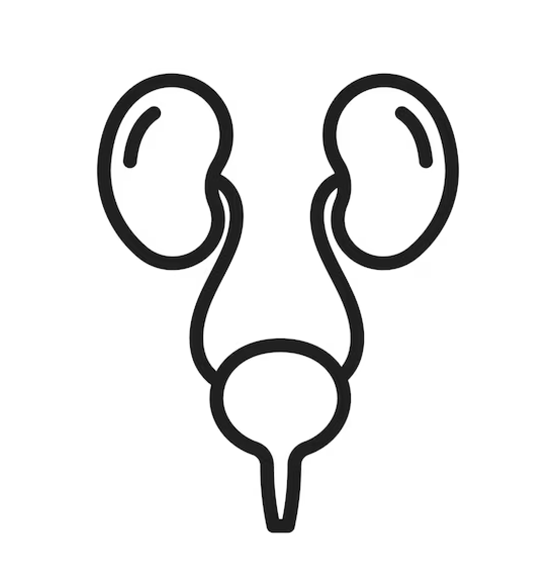 Urology Interest Group