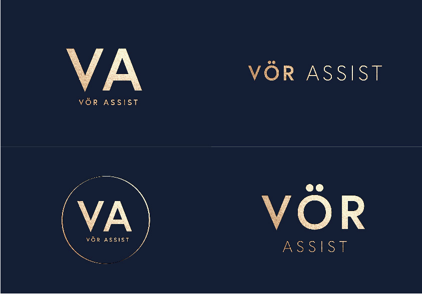 Vor Assist Moodboard & logo concepts-04.jpg