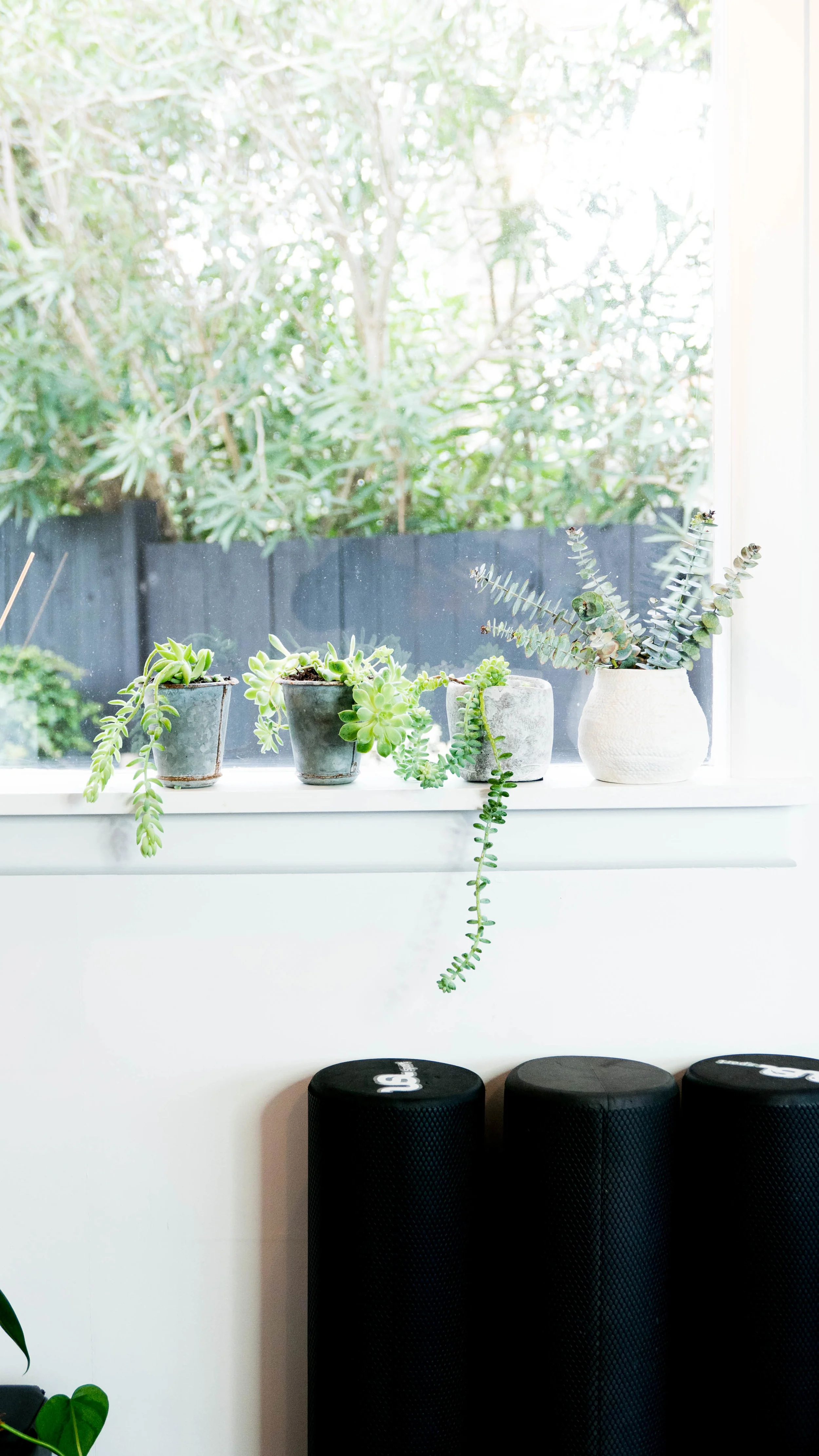 OnForm Pilates-5.jpg