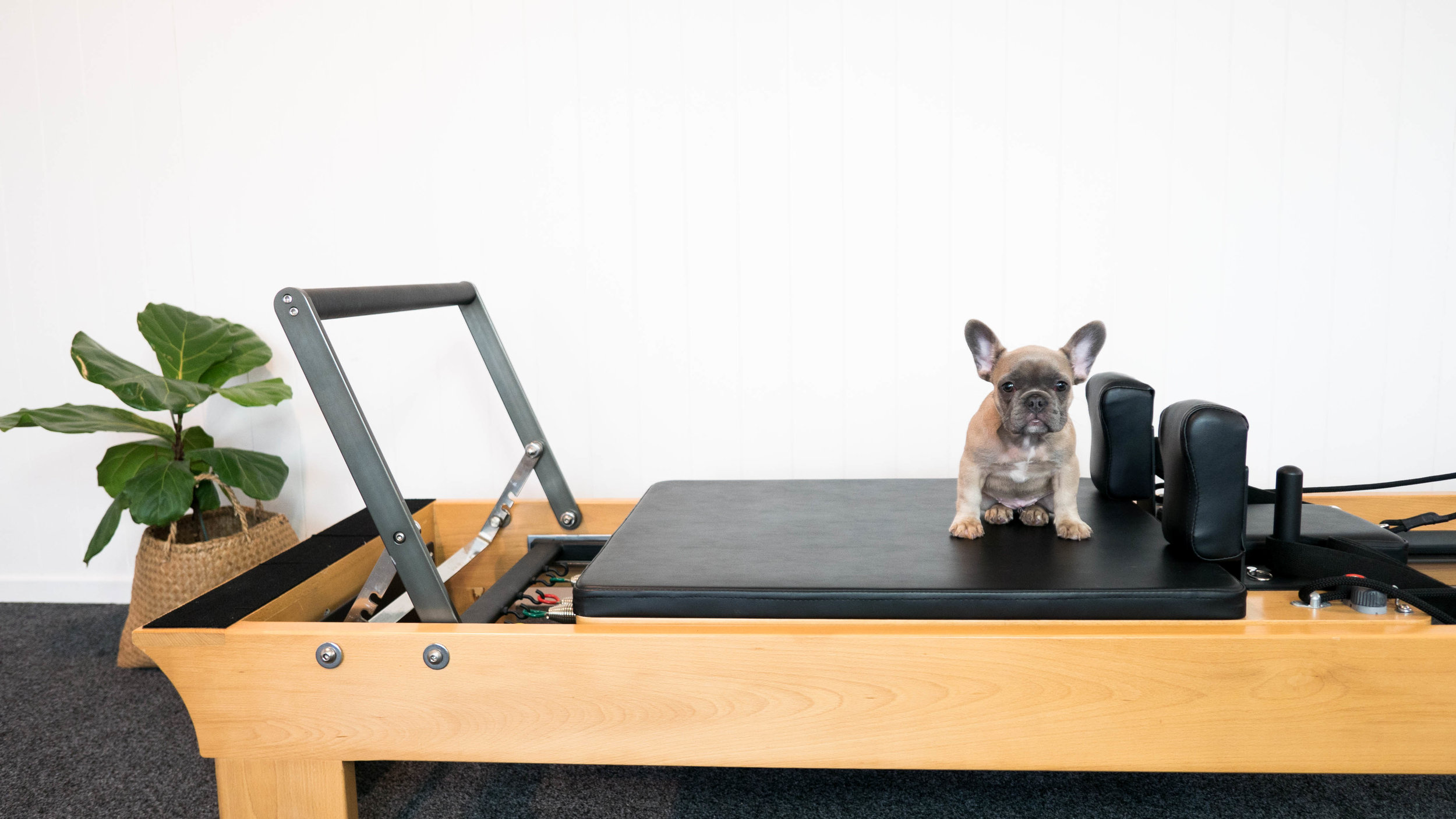 OnForm Pilates-19.jpg