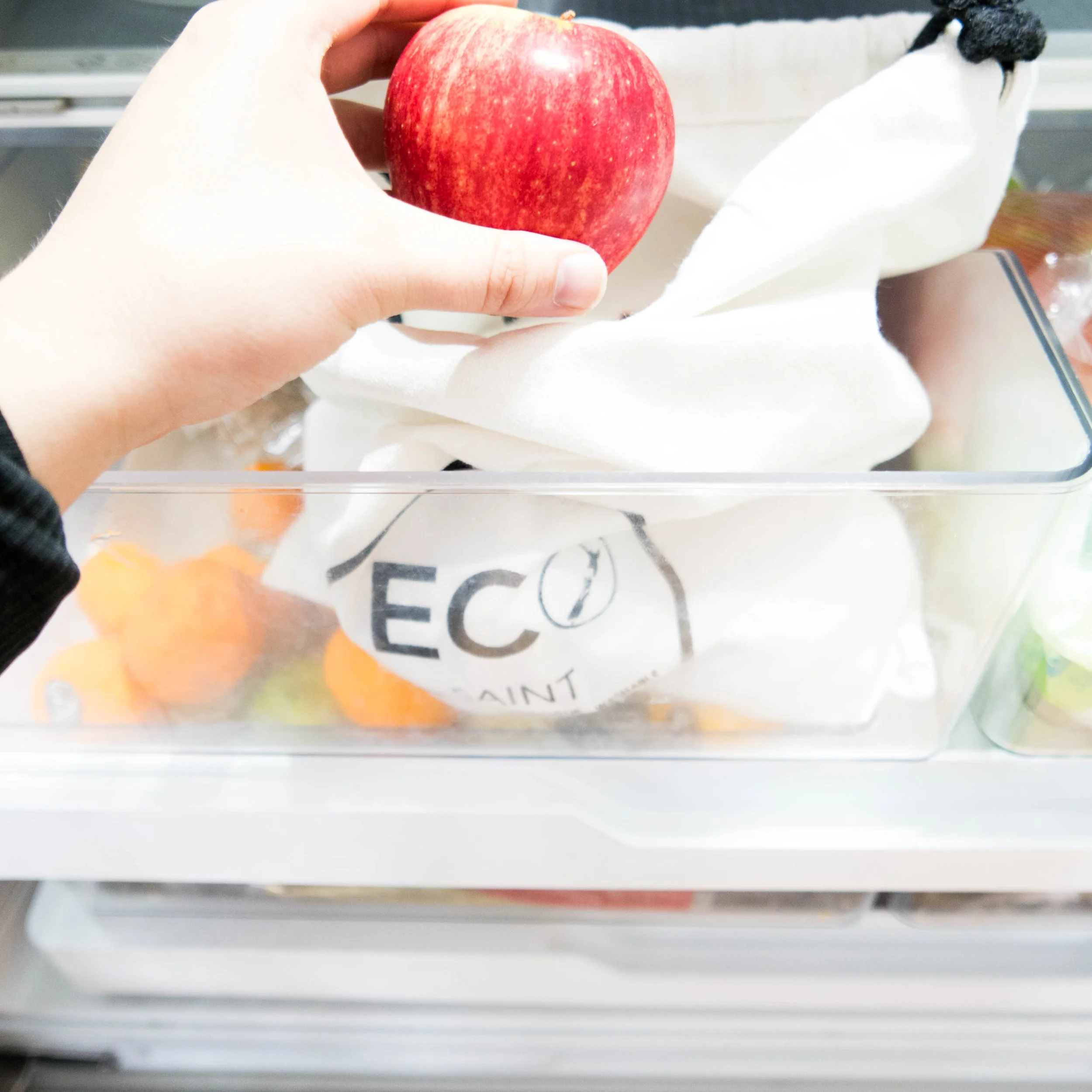 Eco Saint Shoot Edited 020718-16.jpg