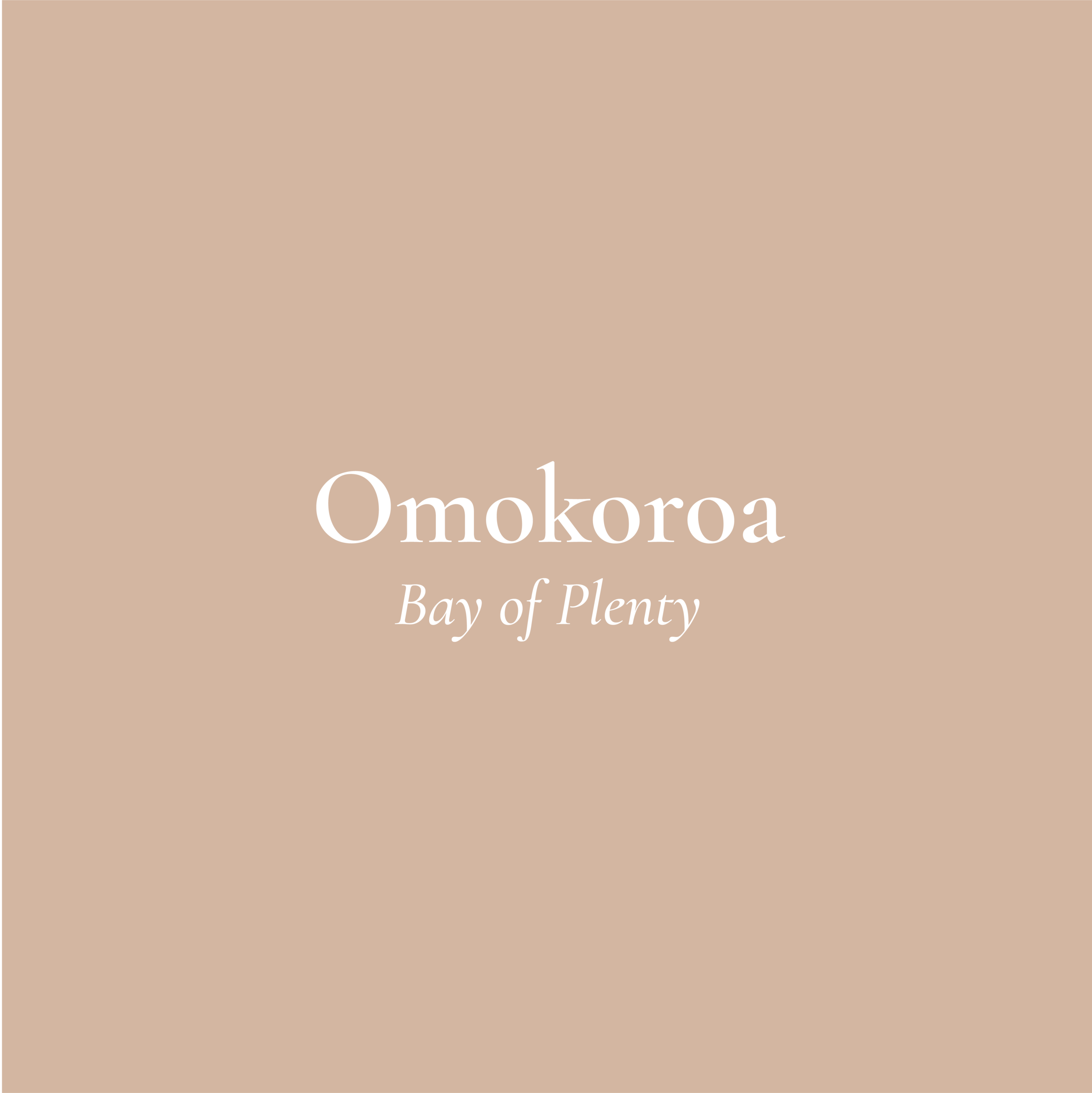 Omokoroa-03.png