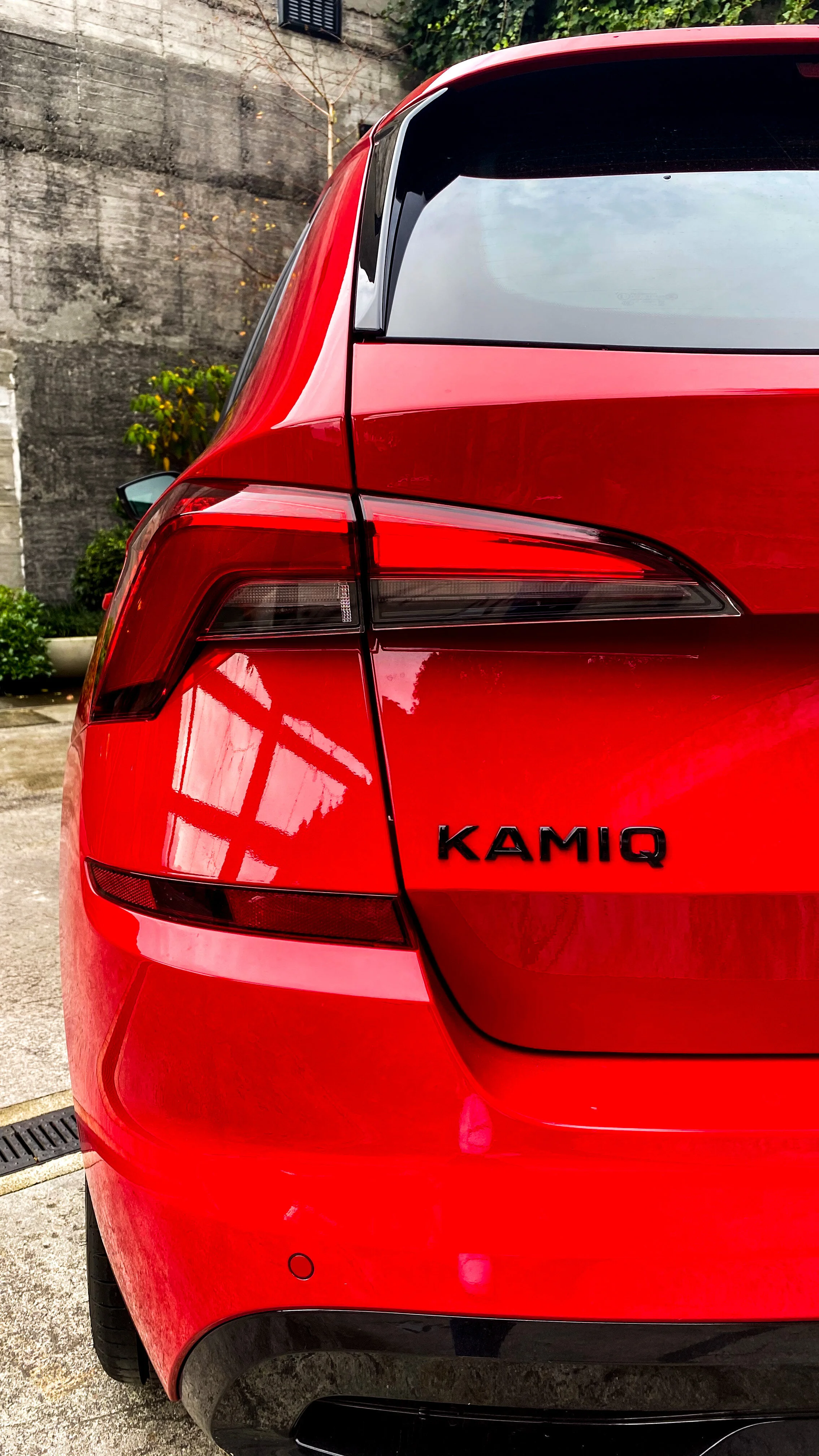 Photo 26-06-20, 12 27 32 PM.jpg