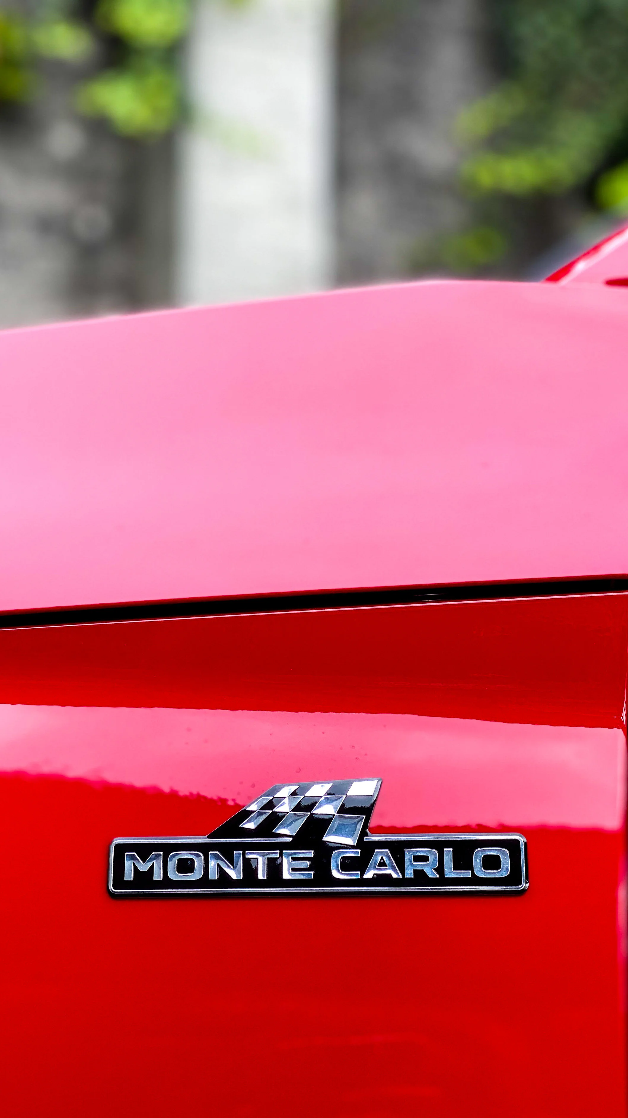 Photo 26-06-20, 12 27 50 PM.jpg