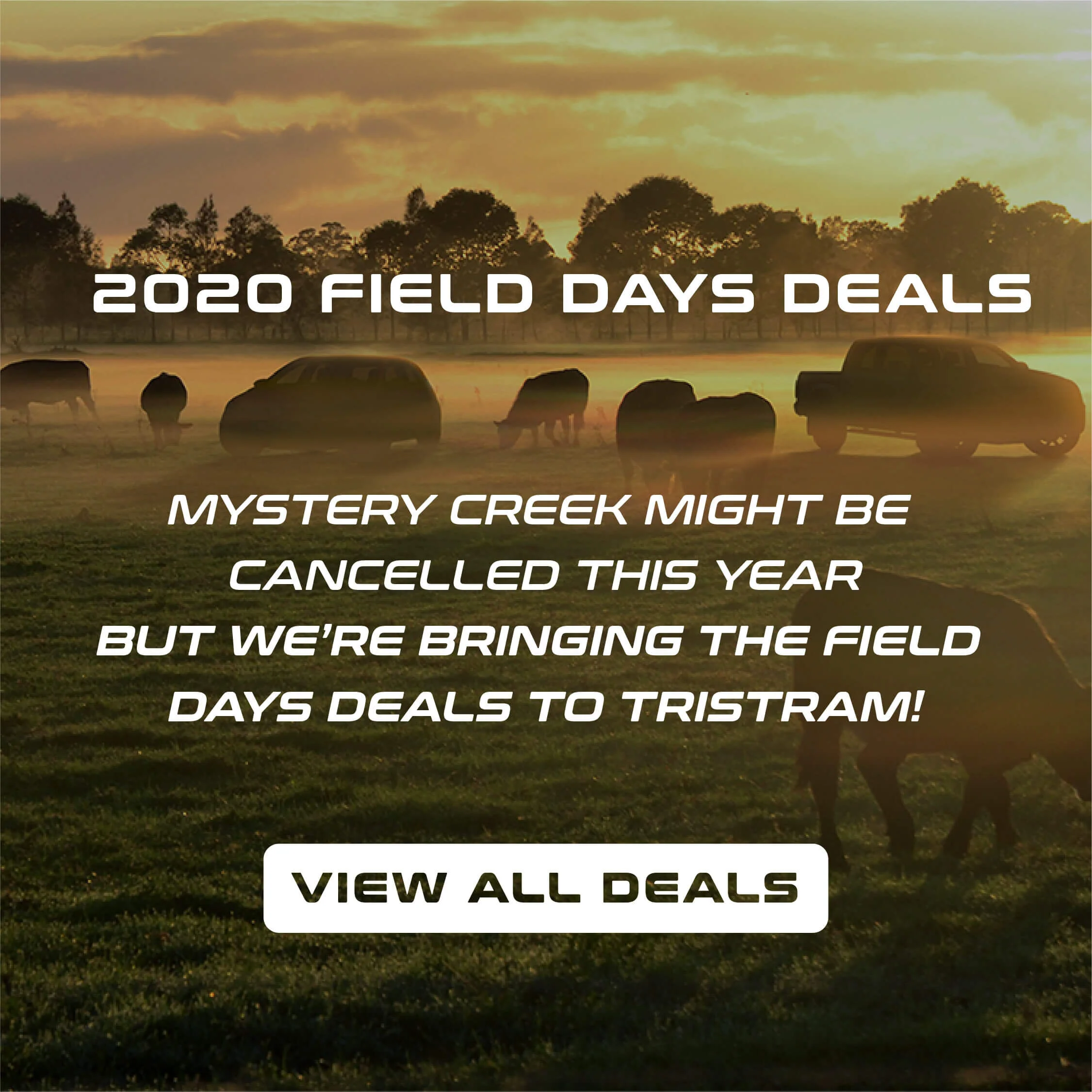 2020 Field Days Creative-05.jpg