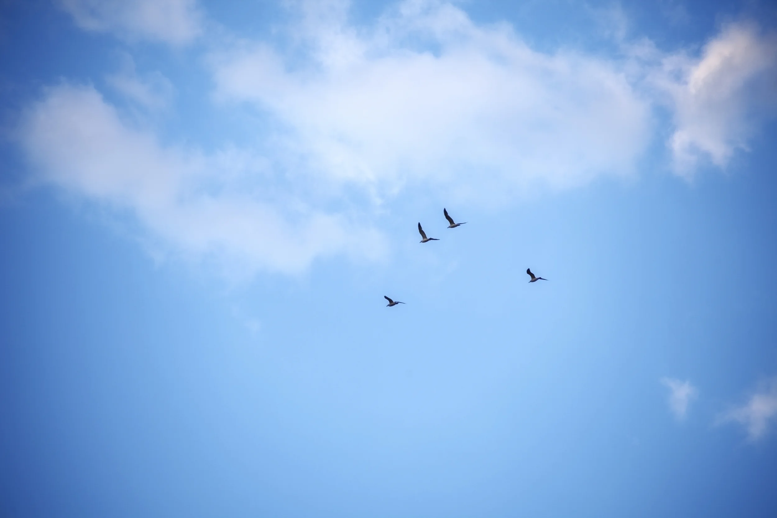 iStock_000068262323_Large.jpg