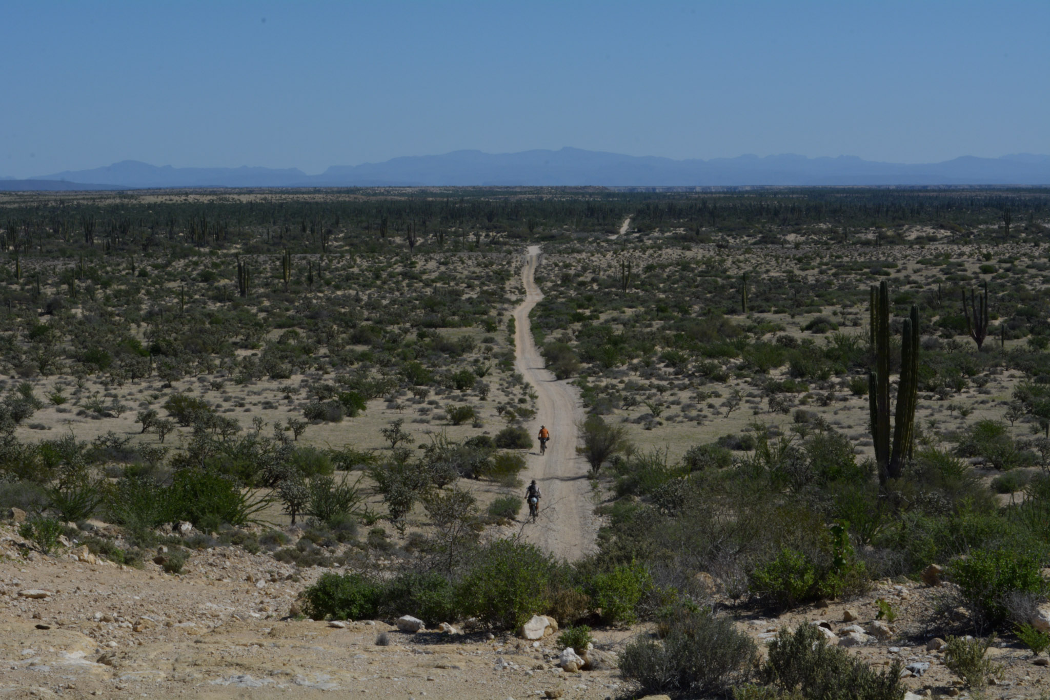 DSC_0835.jpg