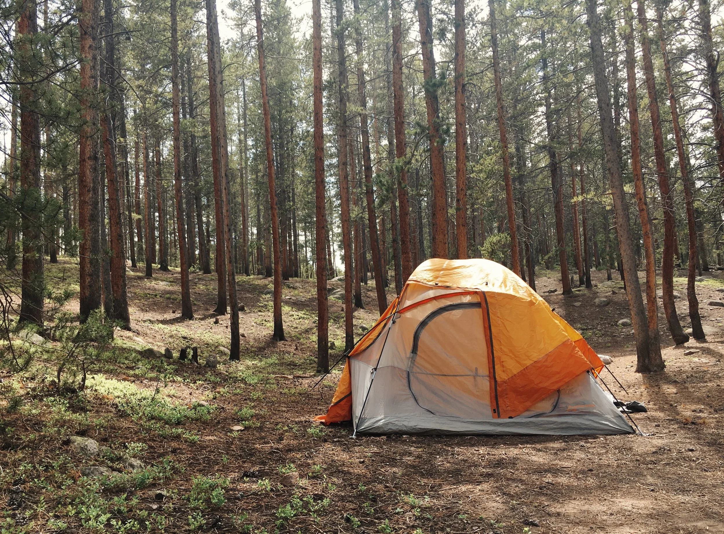camping.JPG