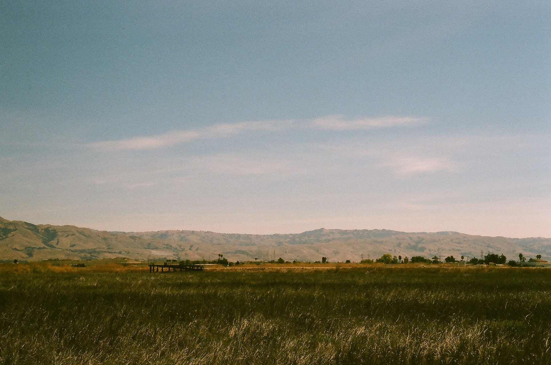 02450007.jpg