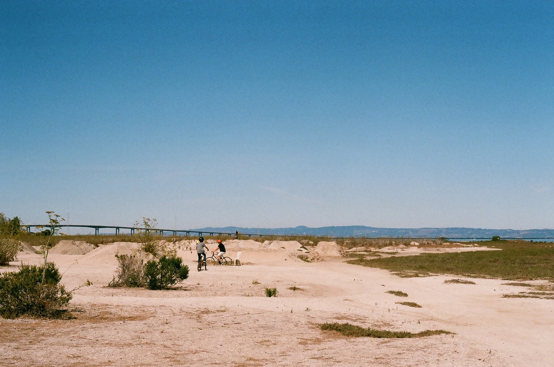 02450013.jpg