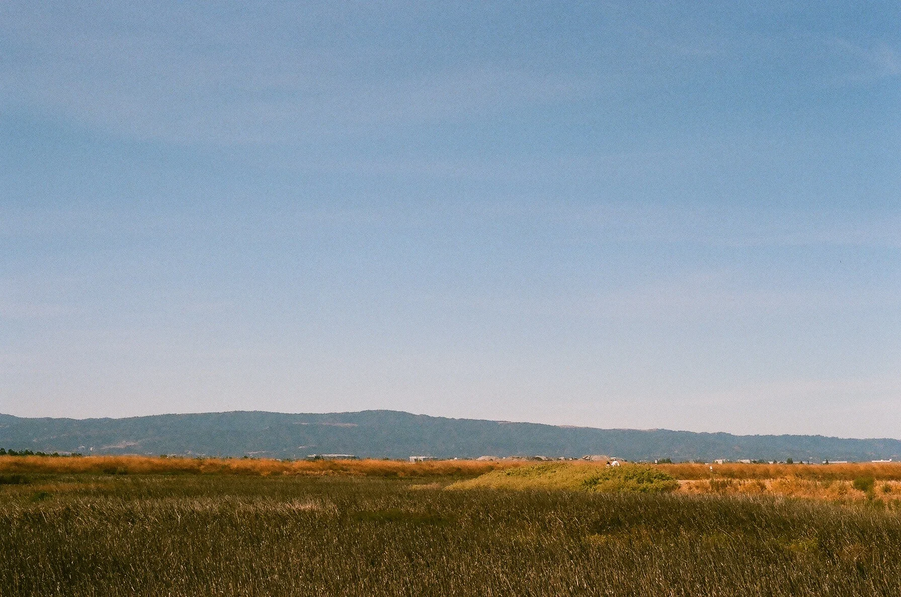 02450009.jpg