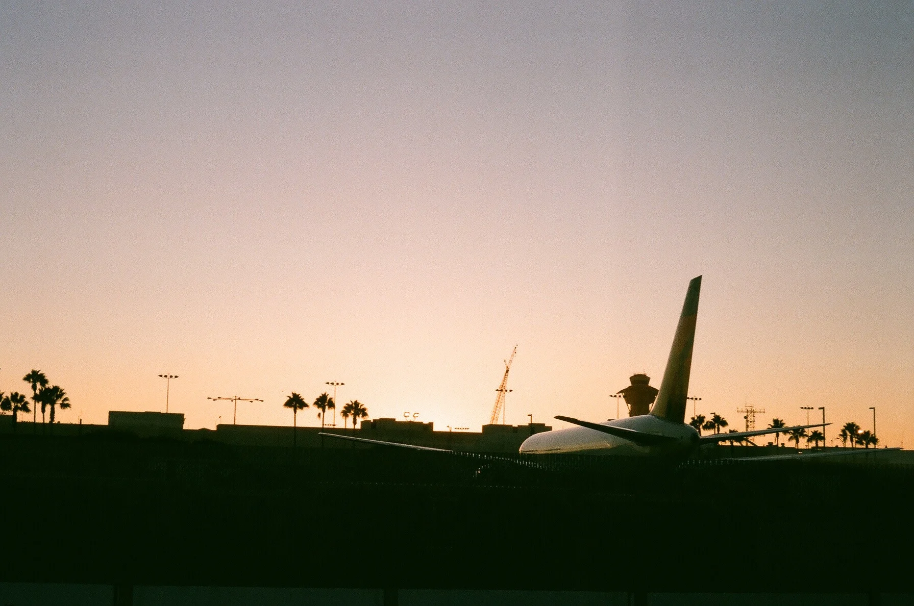 02450018.jpg