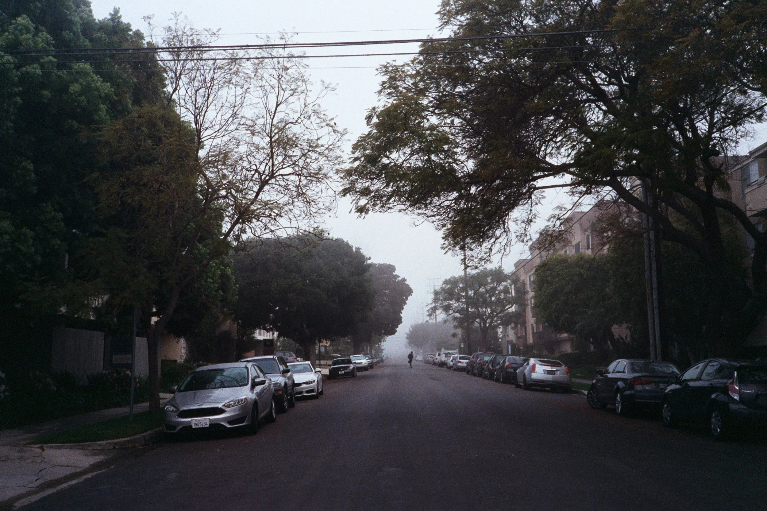 2821AA_0000A.jpg