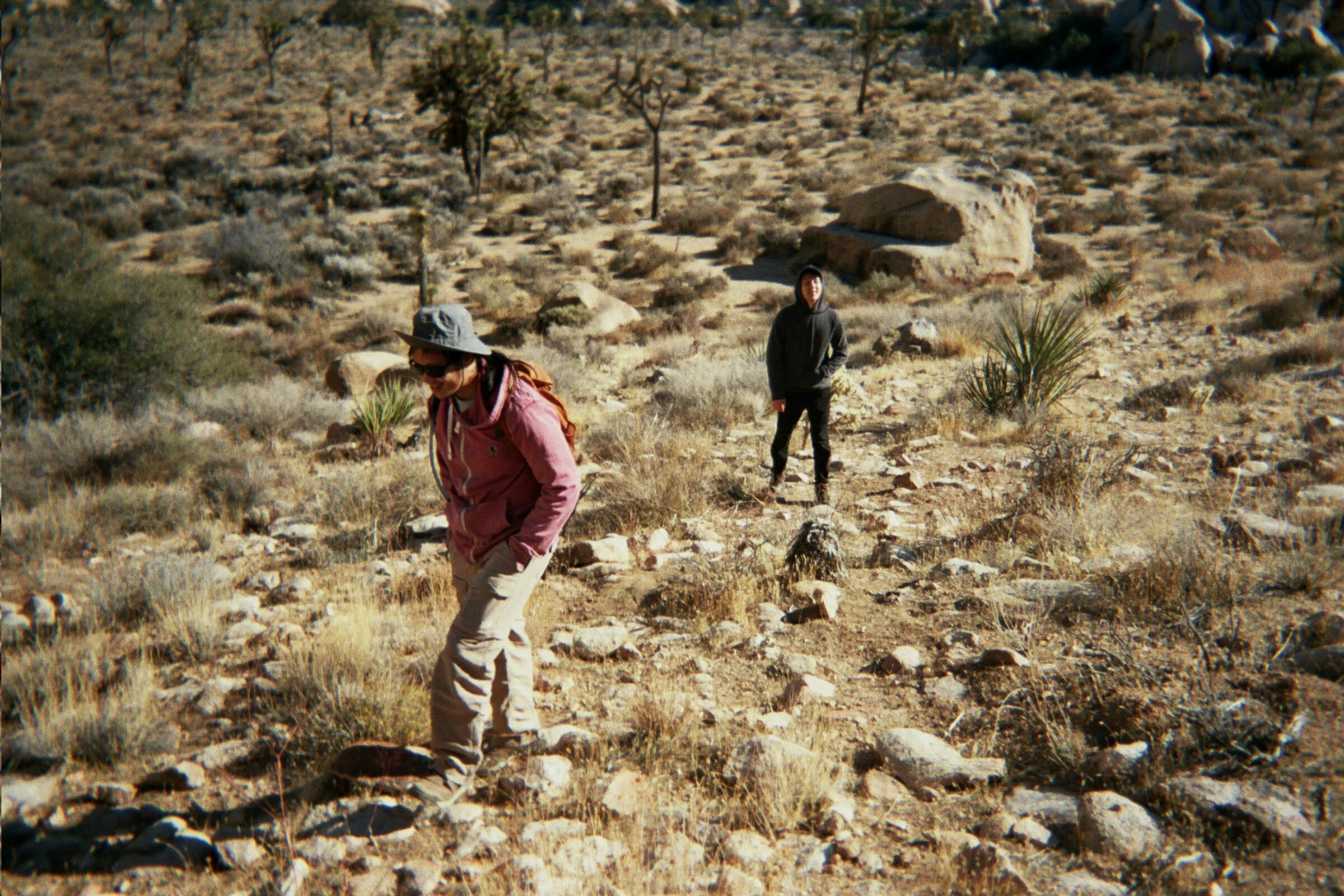 _8A_0865.jpg