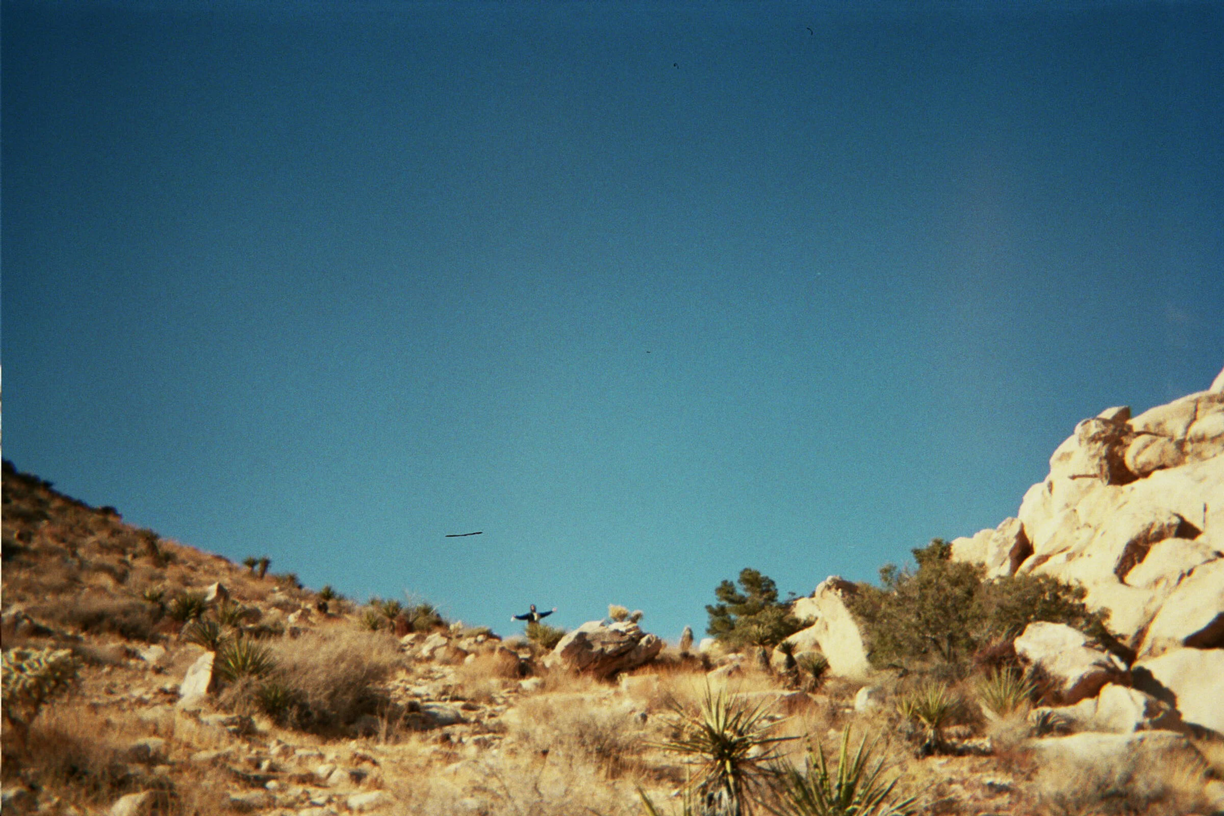 _9A_0866.jpg