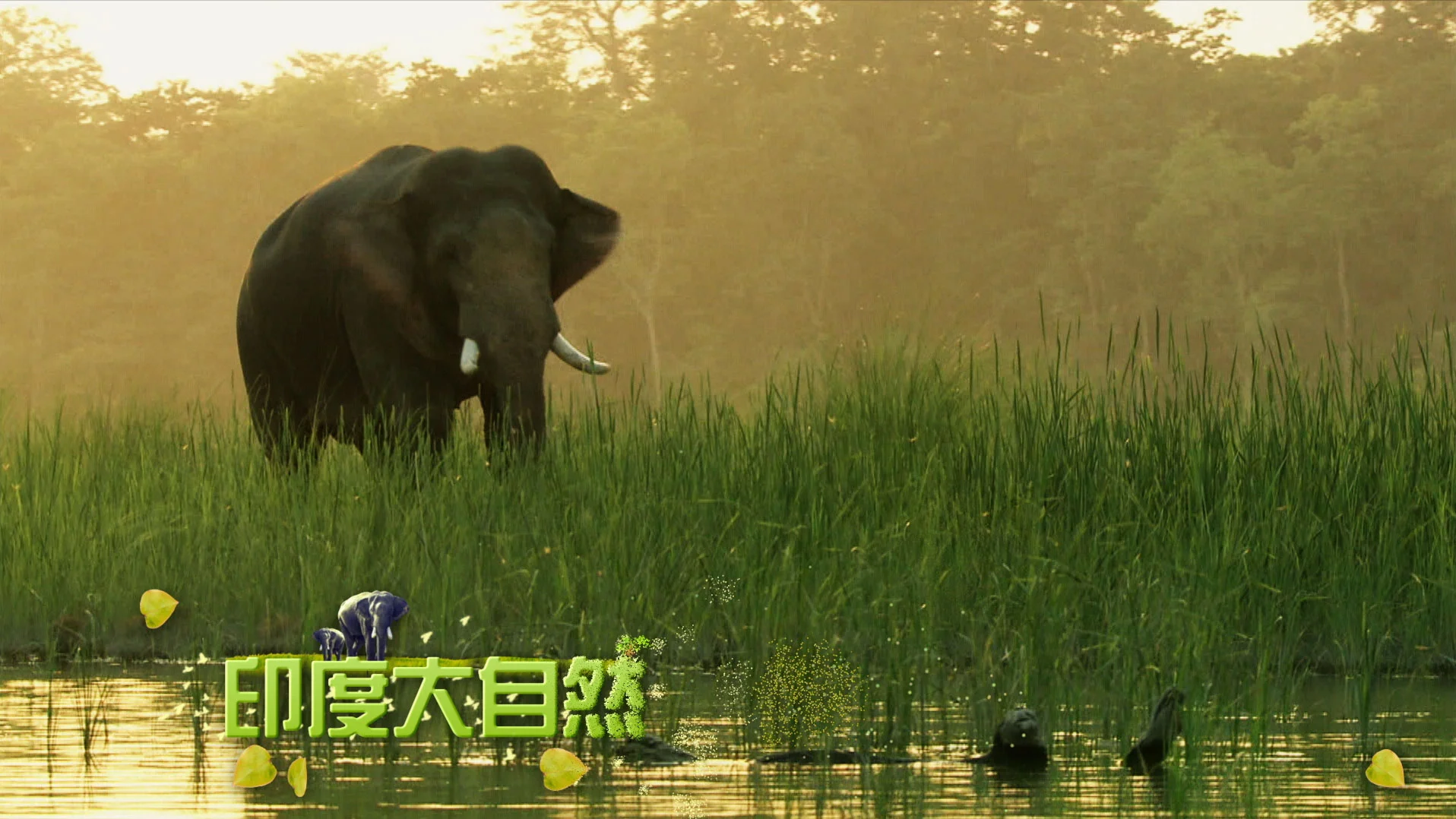 AP1800064-Asia-Uncover_super_1.jpg