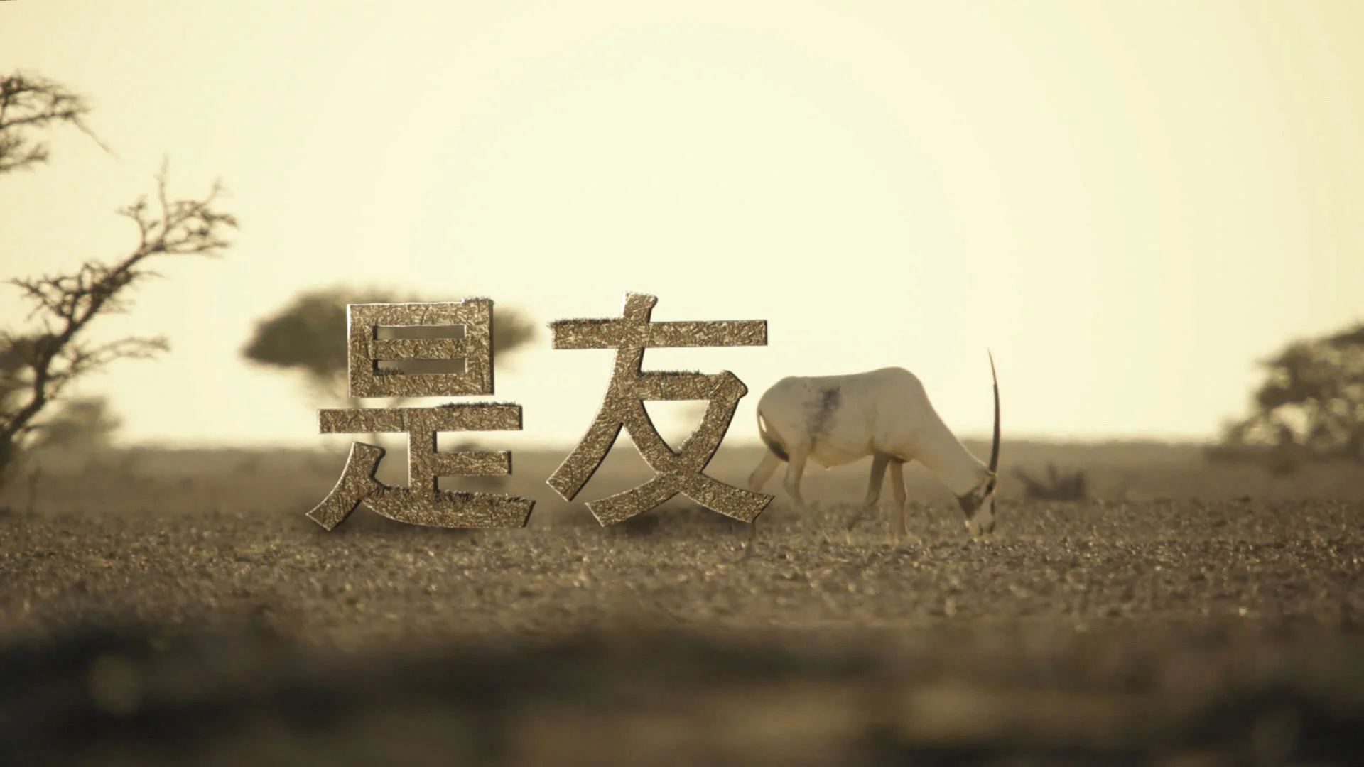 是友.jpg