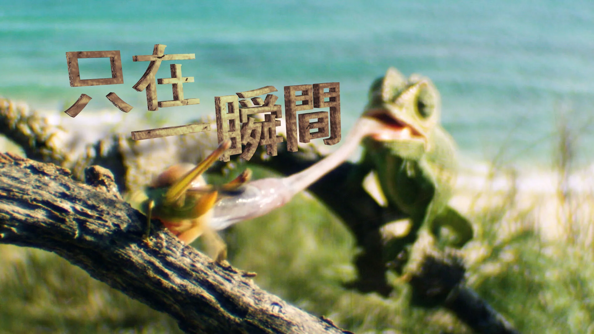 只在一瞬間.jpg