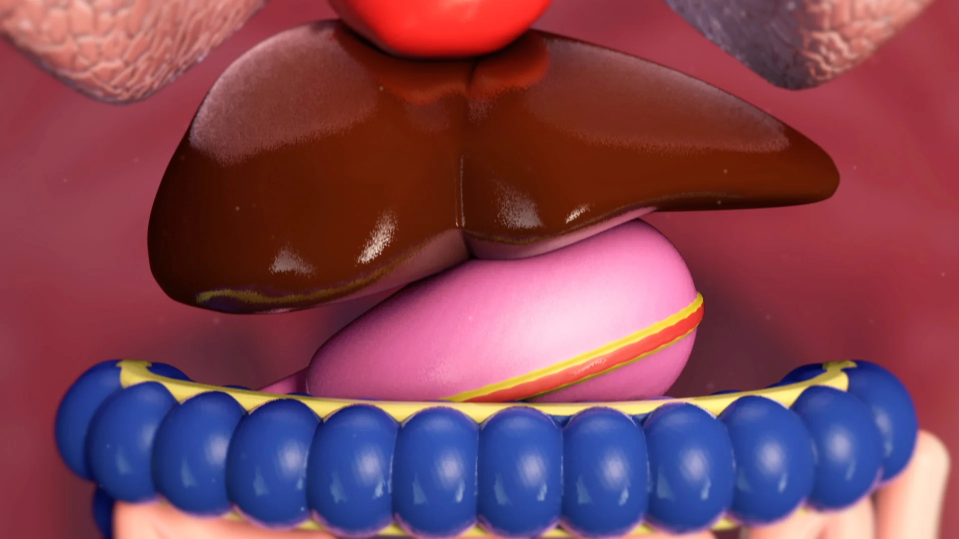 organ_2.jpg