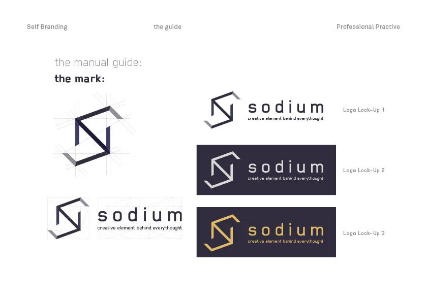Assignment_Sodium_manual-guide.jpg