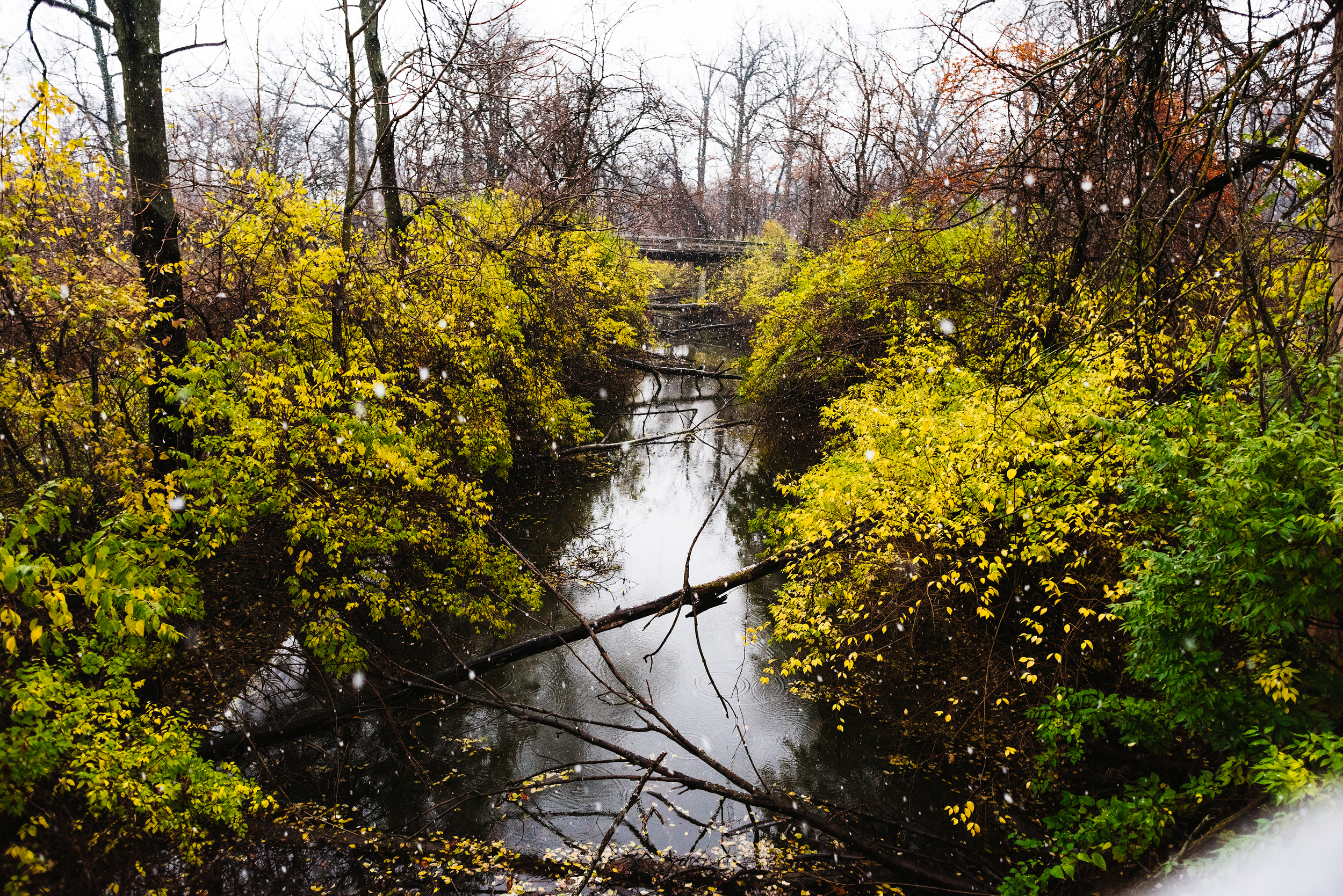 thank you for your time.jpg