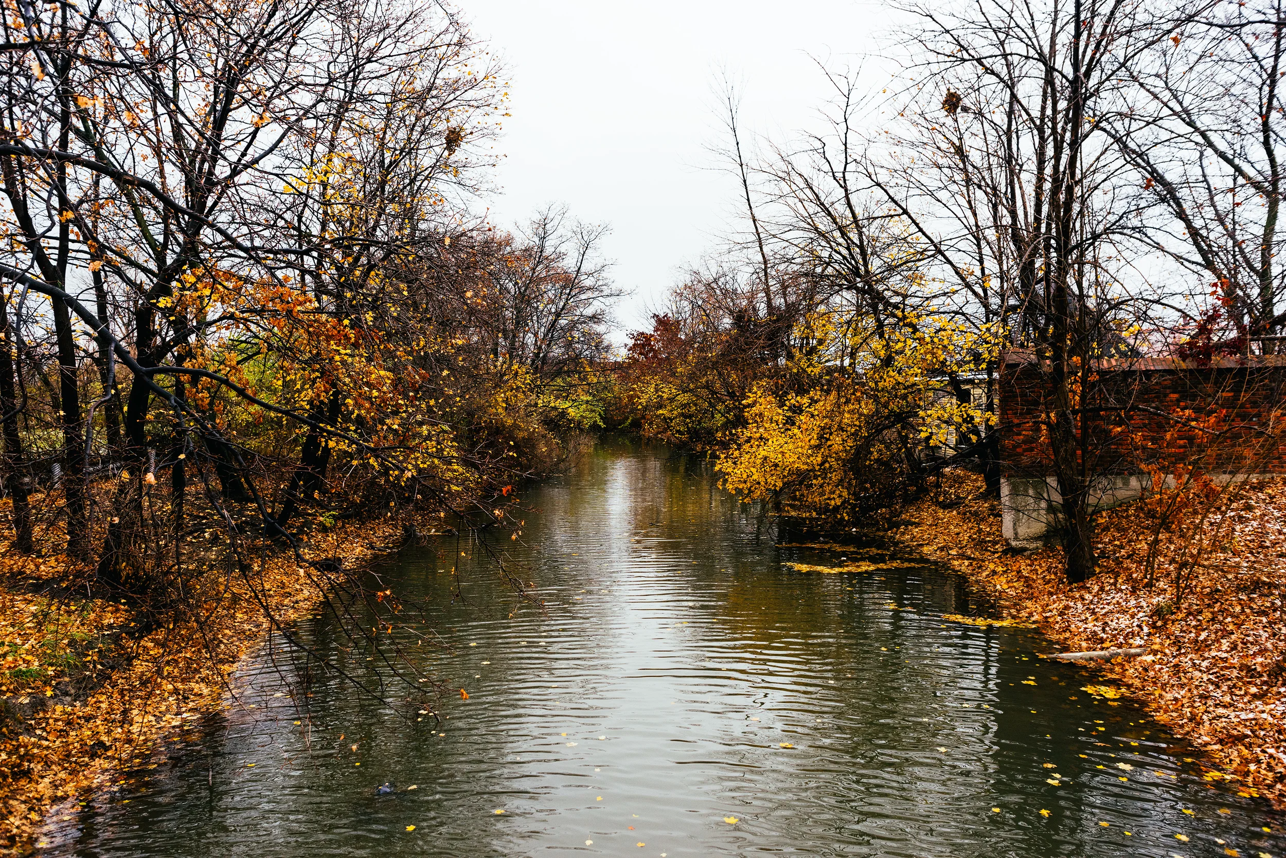 competition motivation.jpg