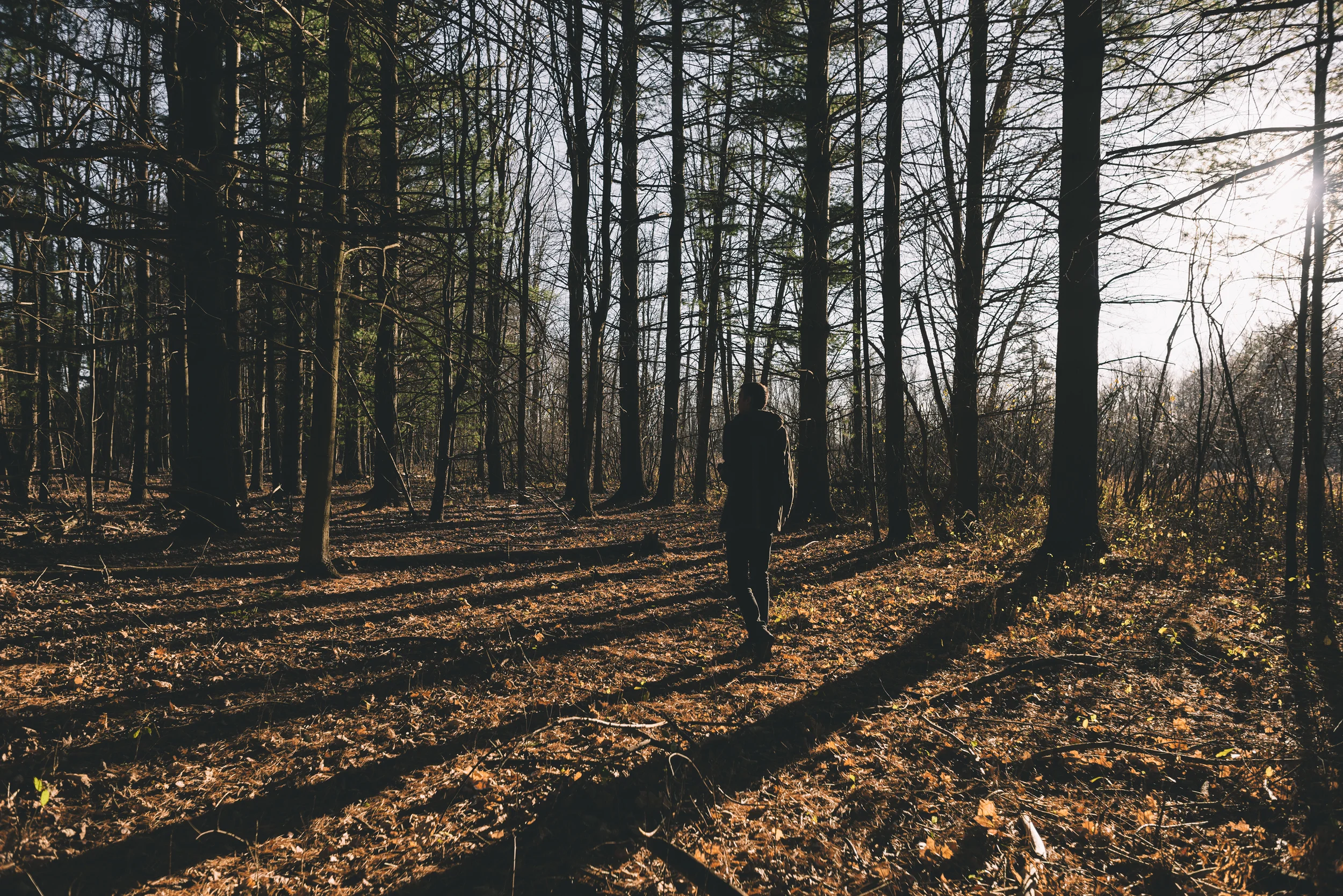 Jason G  forest ranger.jpg