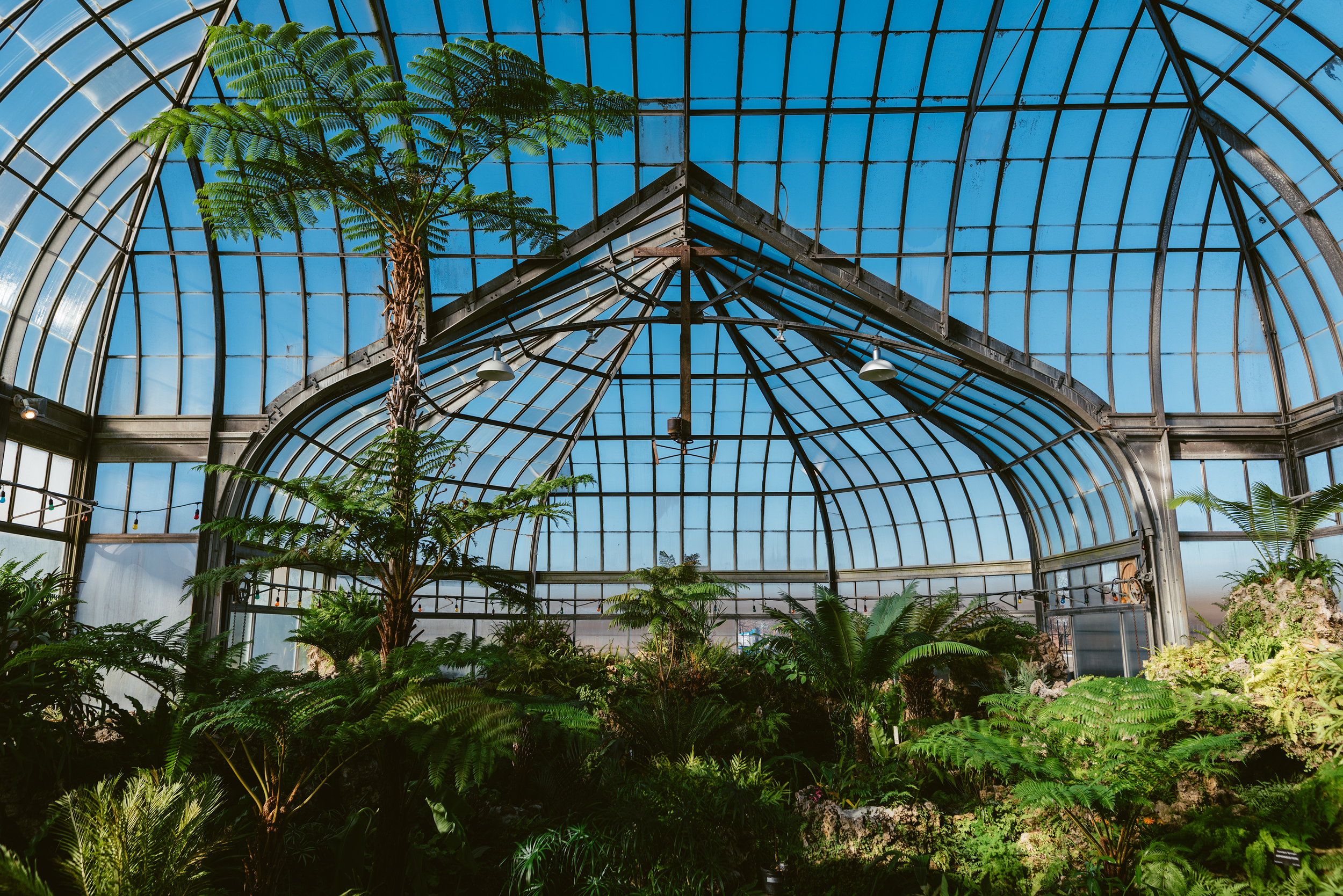 basic shit right.jpg