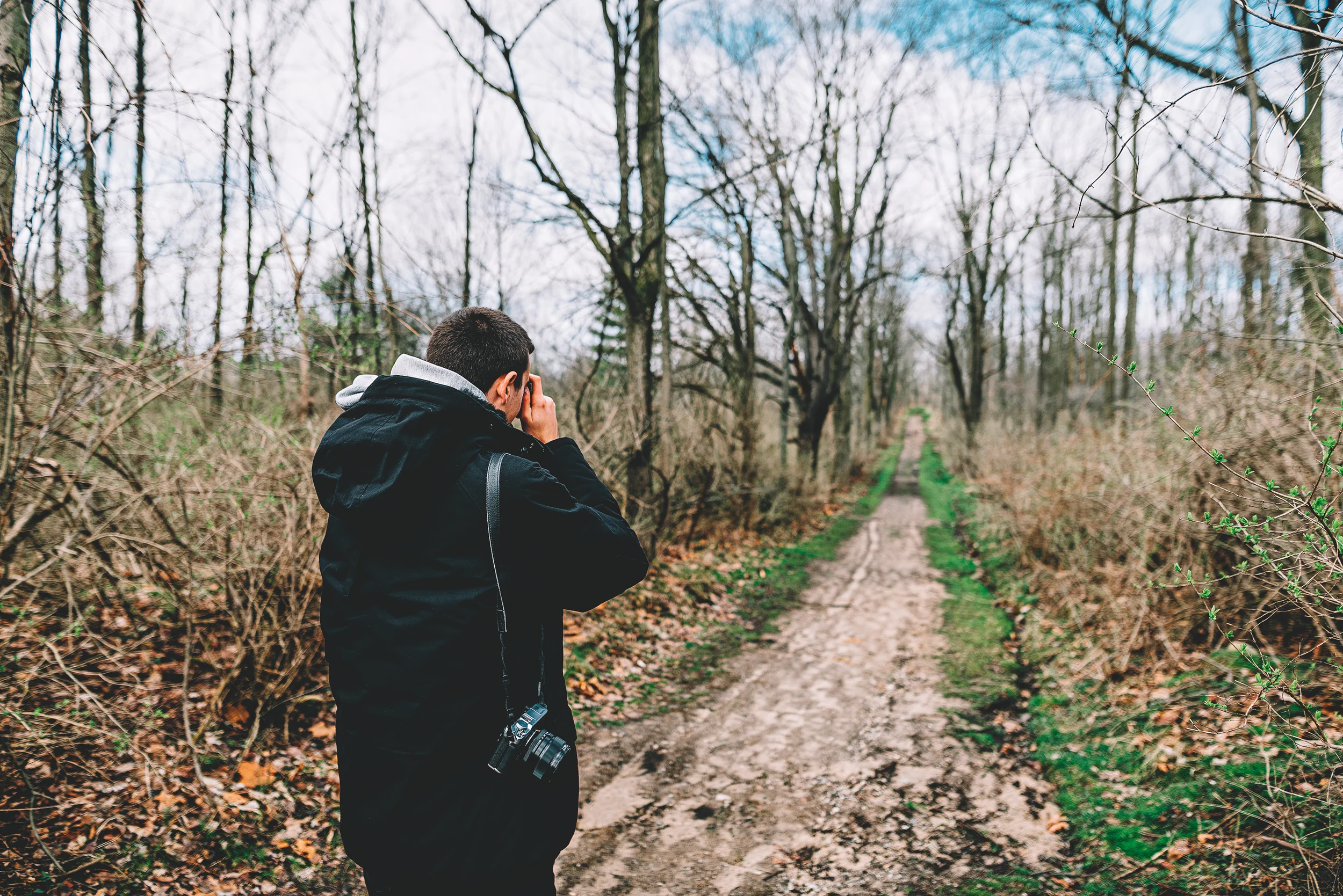 jason best forest.jpg