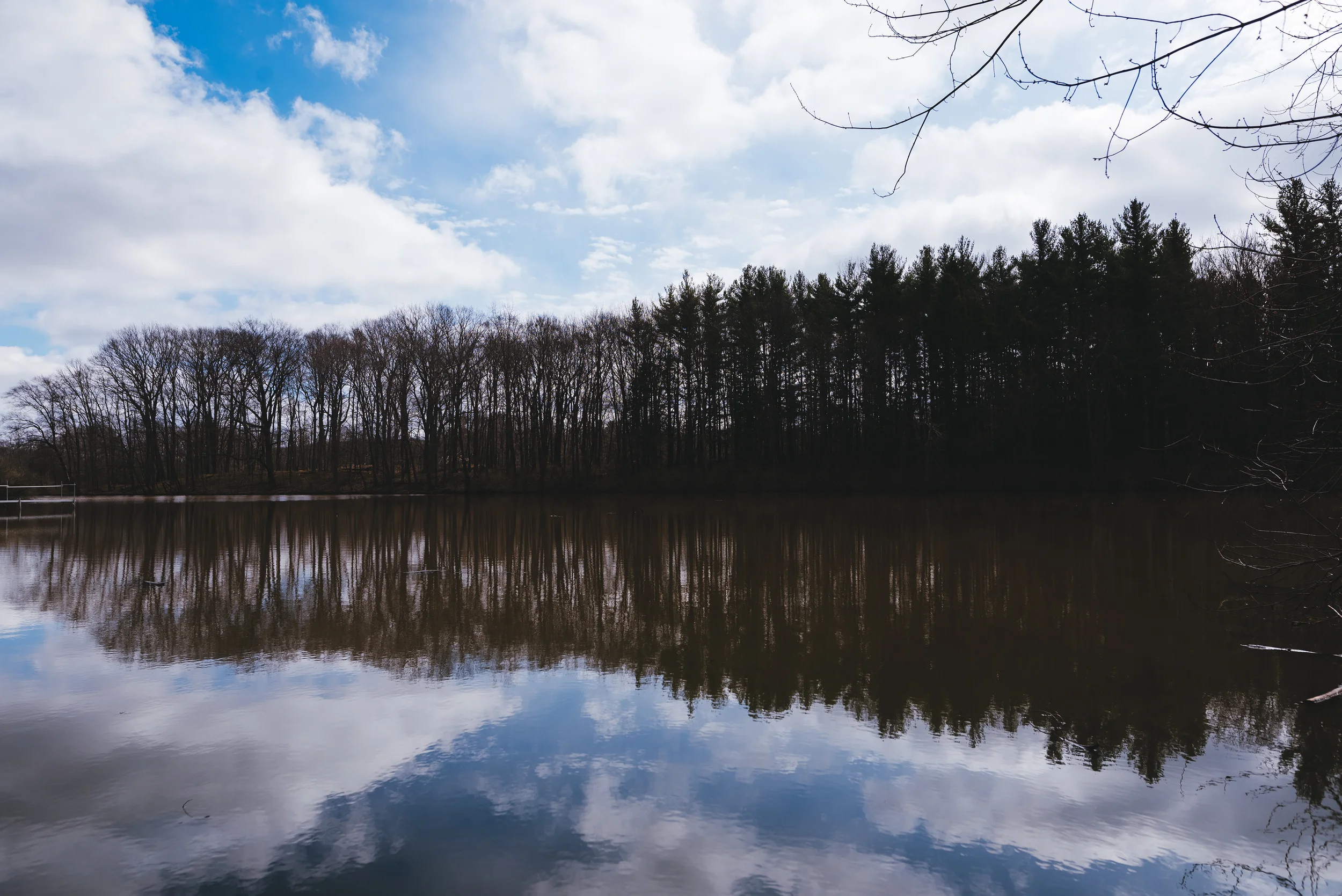 whats real for you .jpg