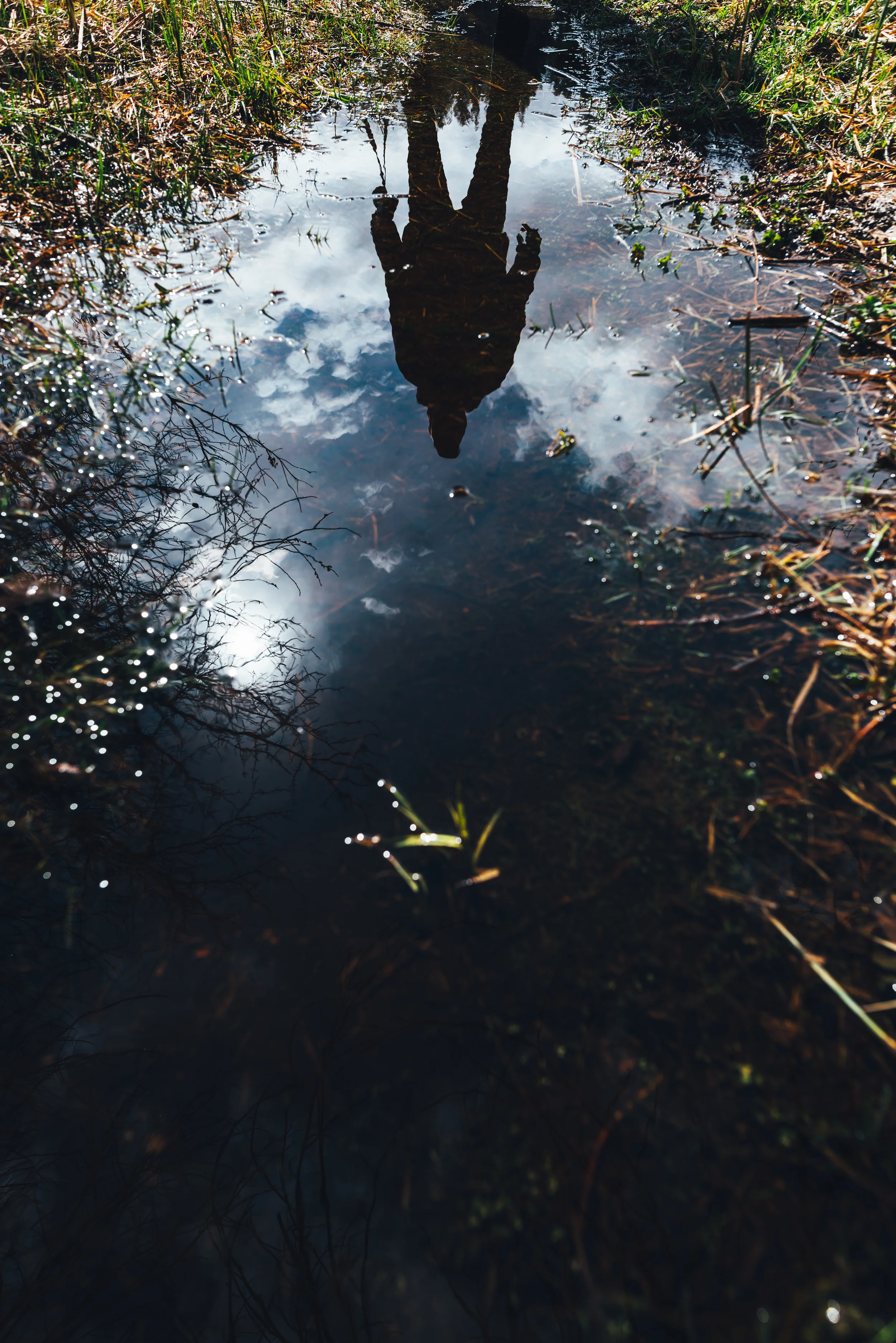 reflections of life.jpg