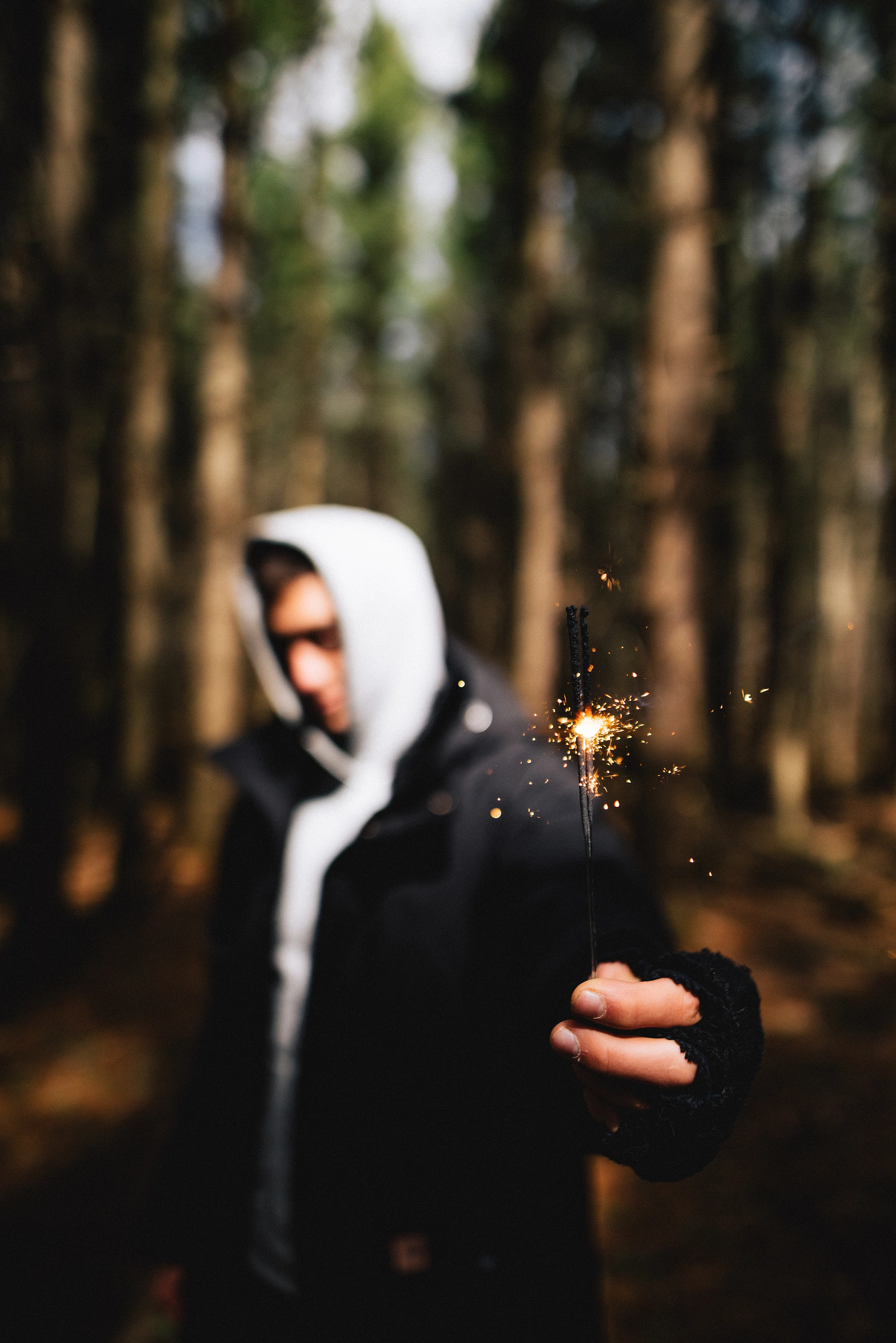 forest final light.jpg