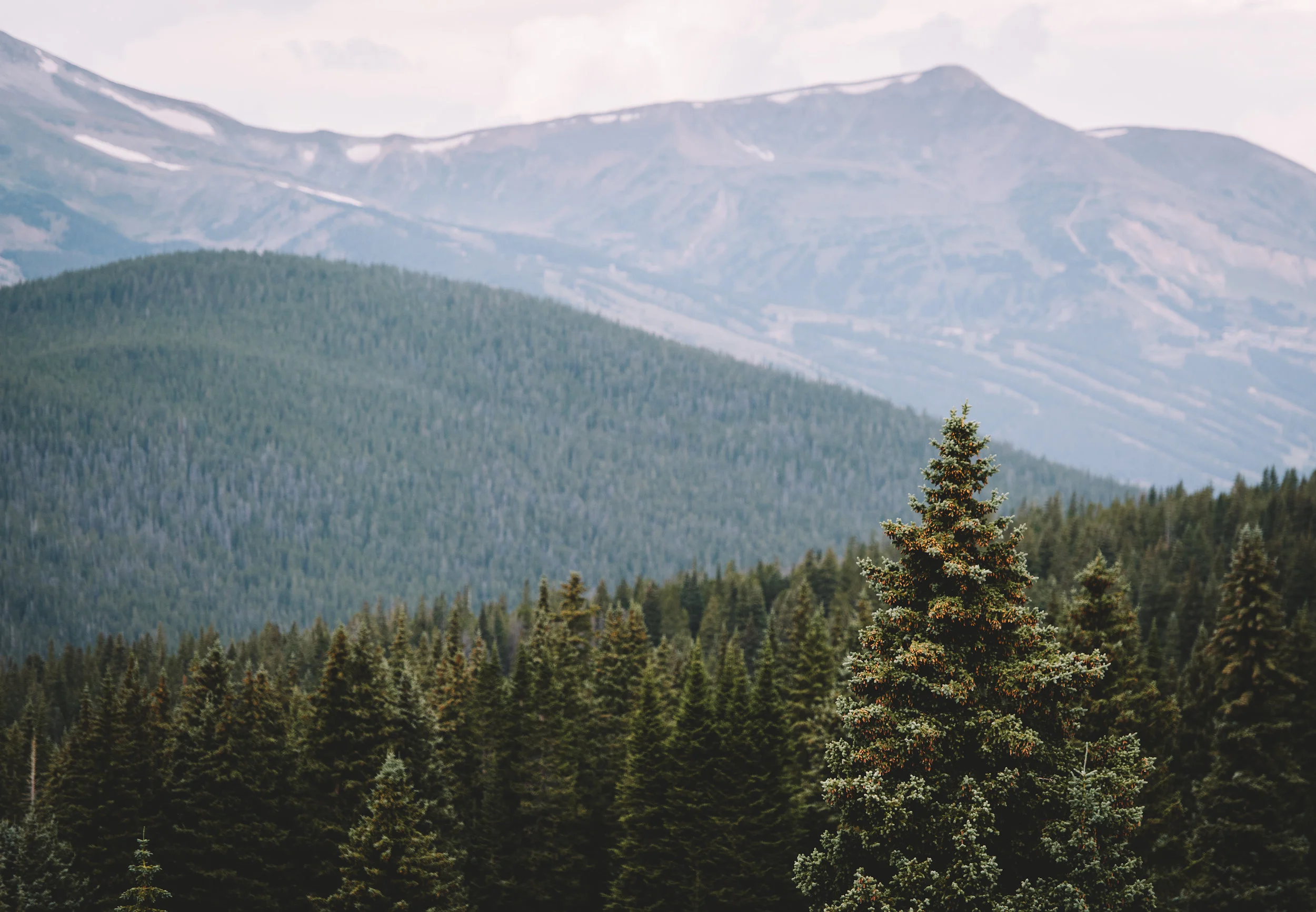 i love you so better.jpg