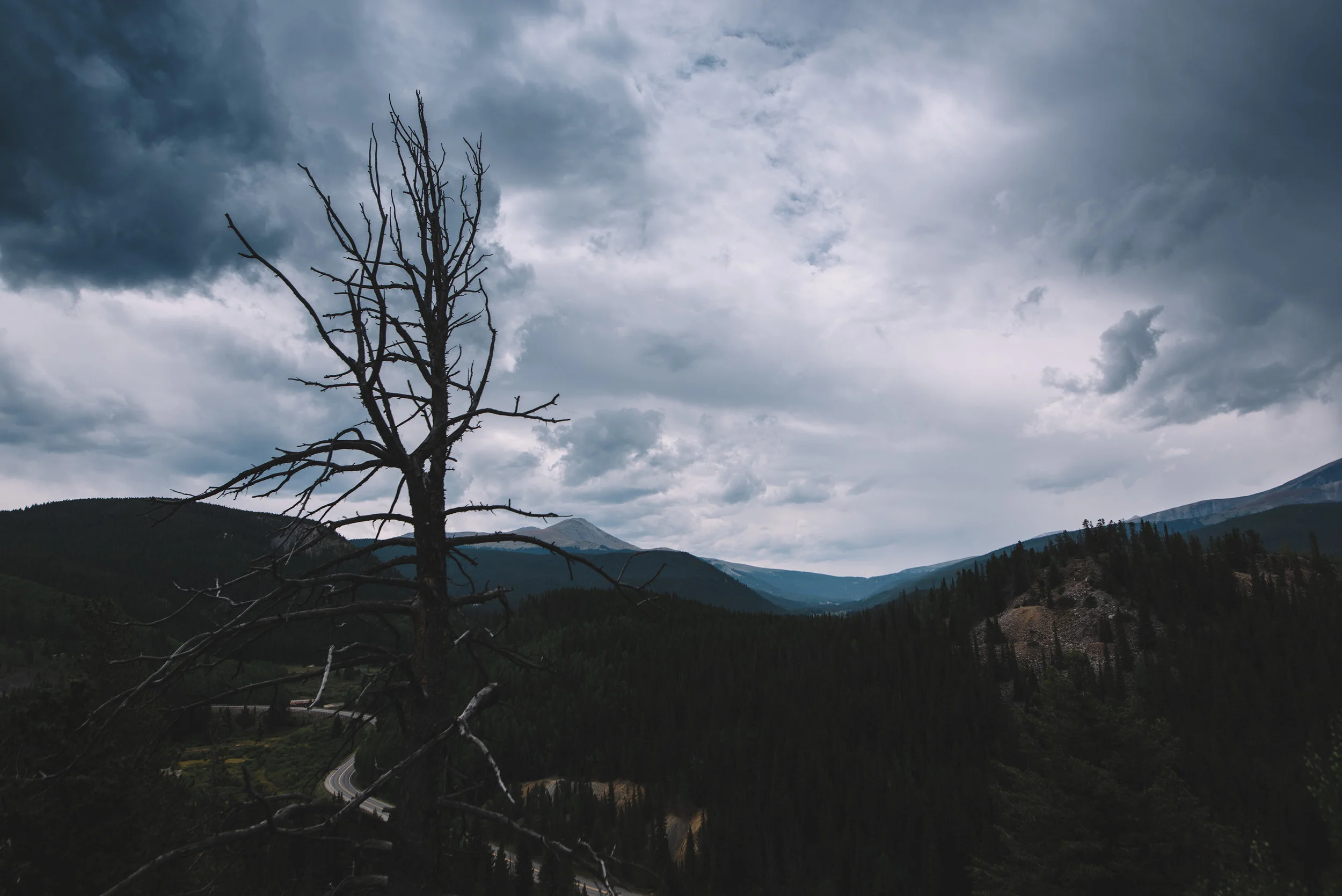 heart on the wind.jpg