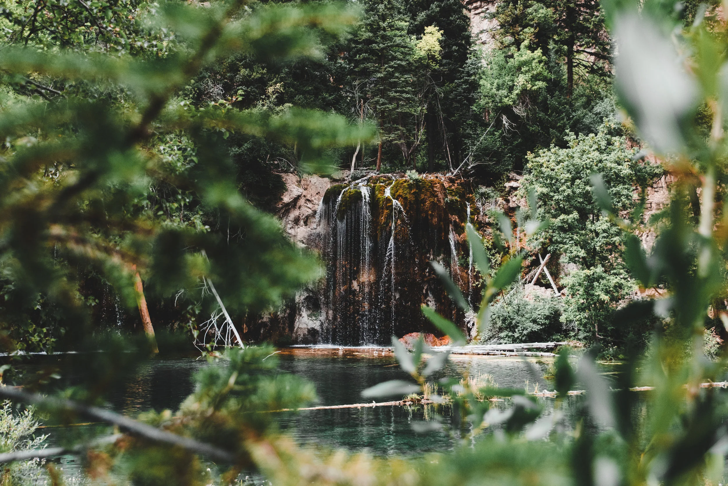 Seniors Finals-6.jpg