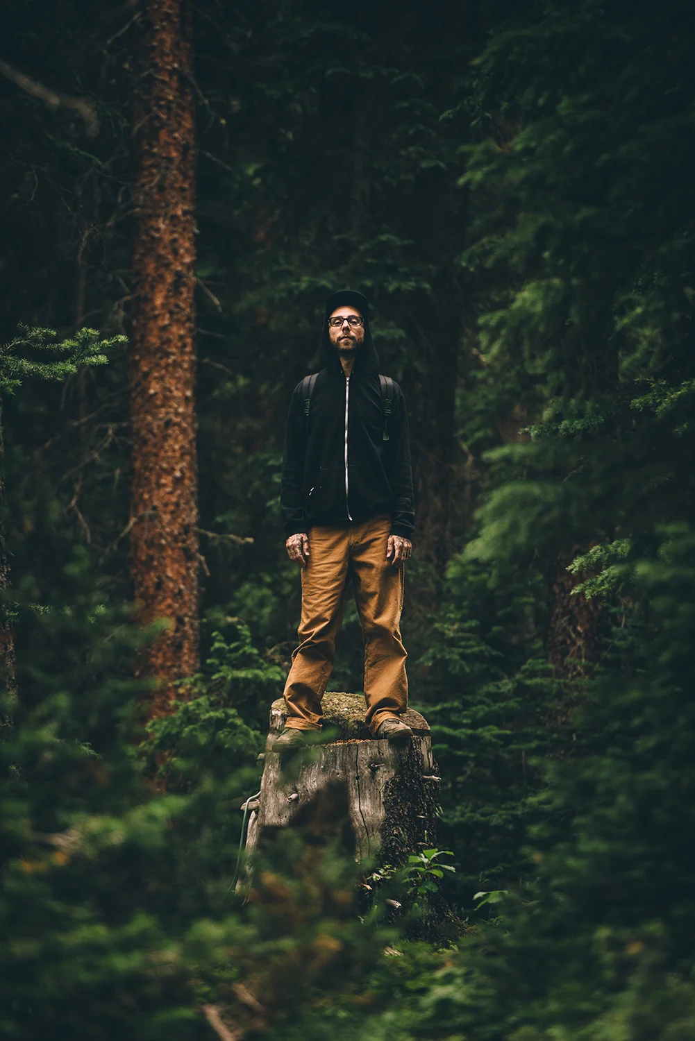 fleet foxes-16_WEB.jpg