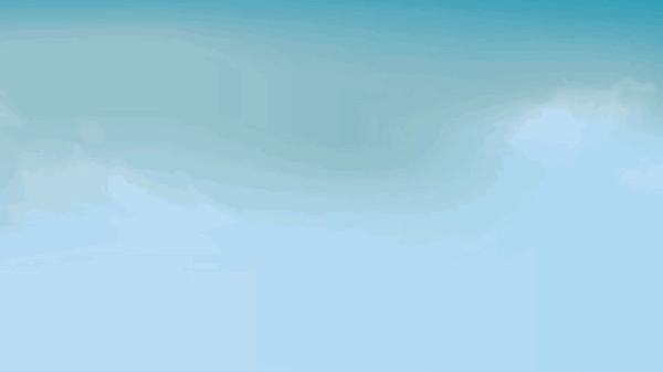 VideoToGif_1549042034.8625998.gif