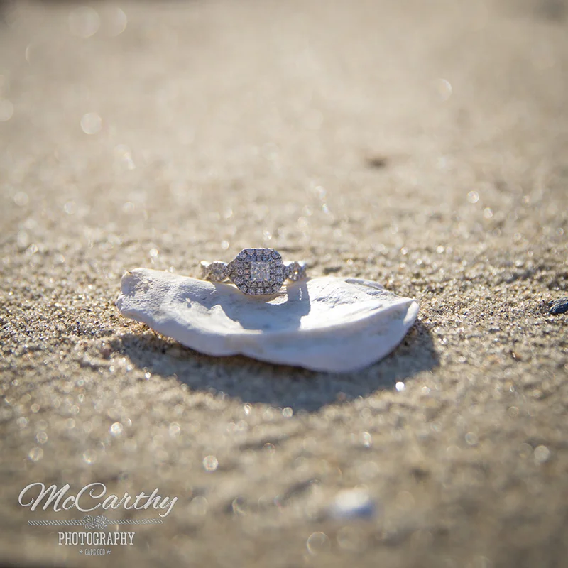 Cape Cod Wedding Photographer