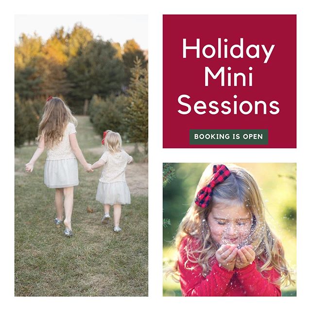 Holiday Minis are officially open for booking! Visit the link in my bio for info. #holidayportrait #capecodphotographer #familyphotographer #childrensphotographer #christmas #holidays #christmascards #holidaycards