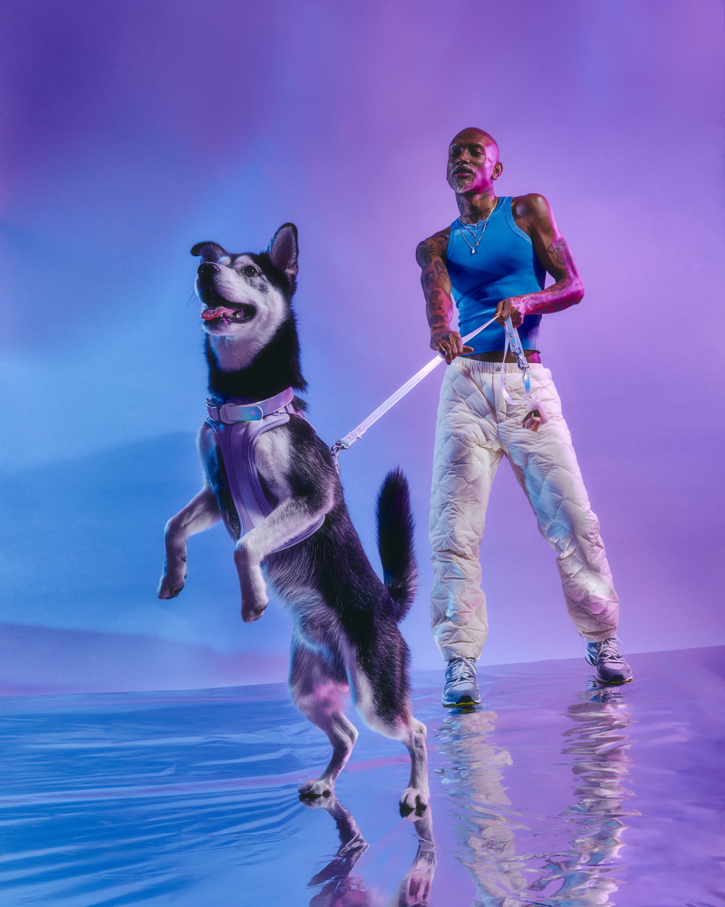 WO_VM_WalkKitCollar_Lunar_Harness_Lilac_SpaceFlairLunarCampaign_06_4x5_Web.jpg