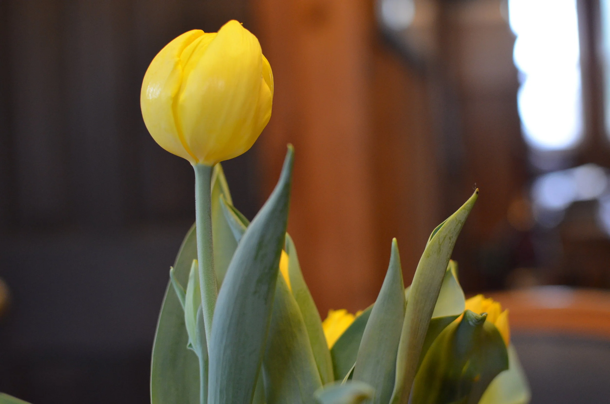 Photo Credit: Rebecca Trumbull