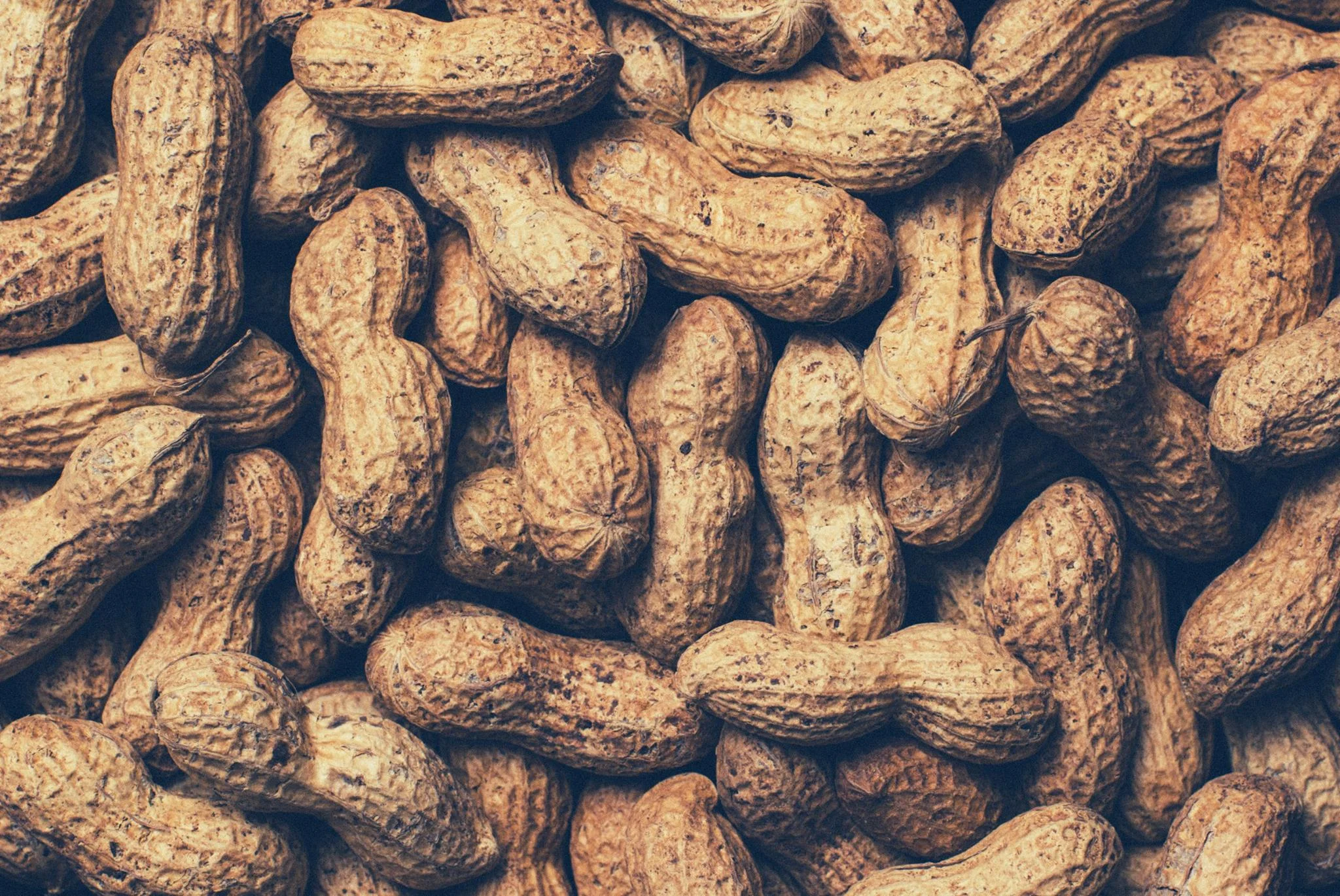 peanuts