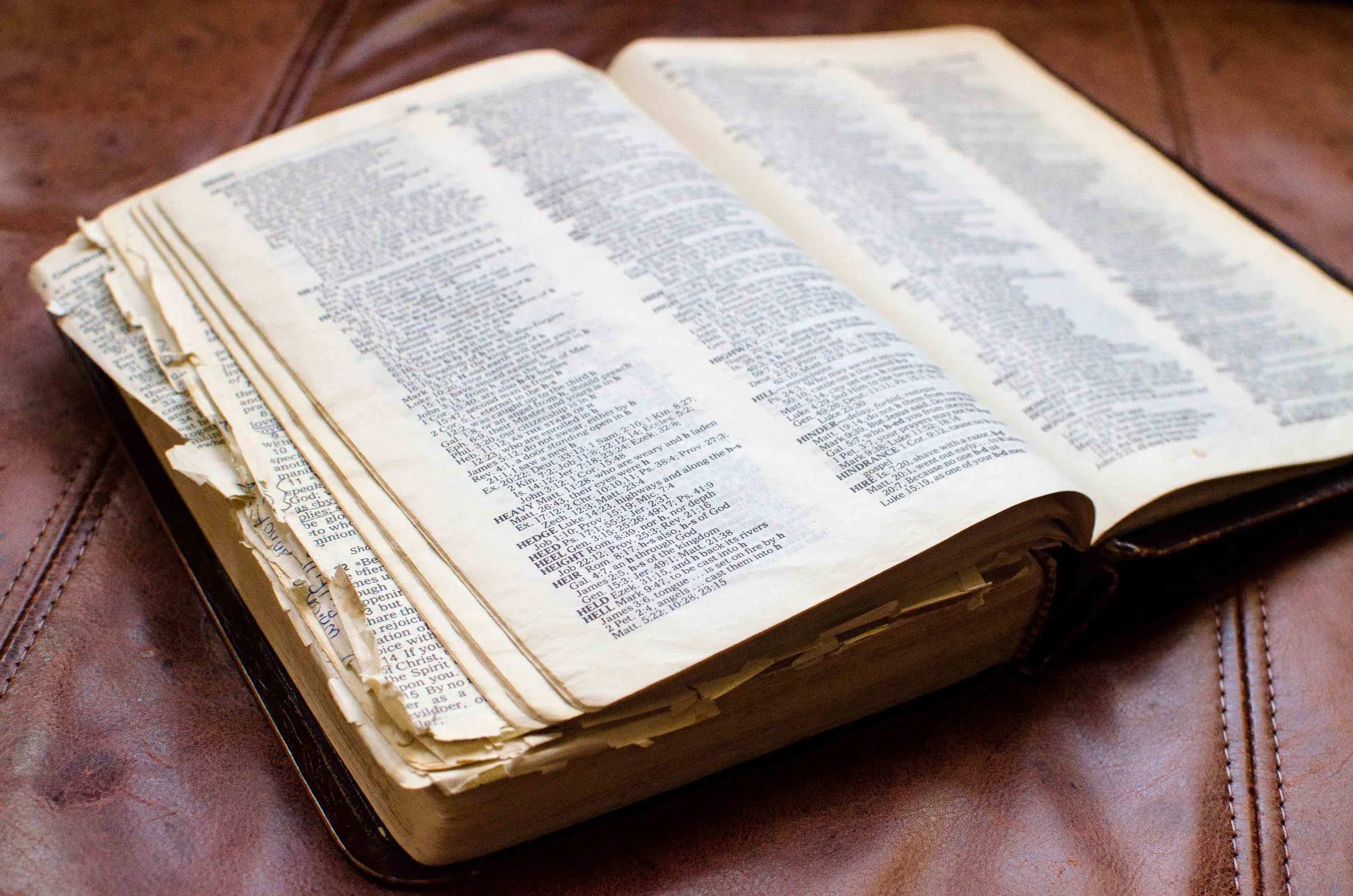 Photo credit Rebecca Trumbull.