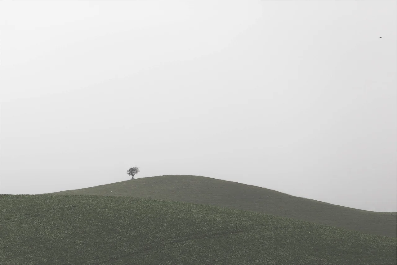 Pixabay - gray landscape