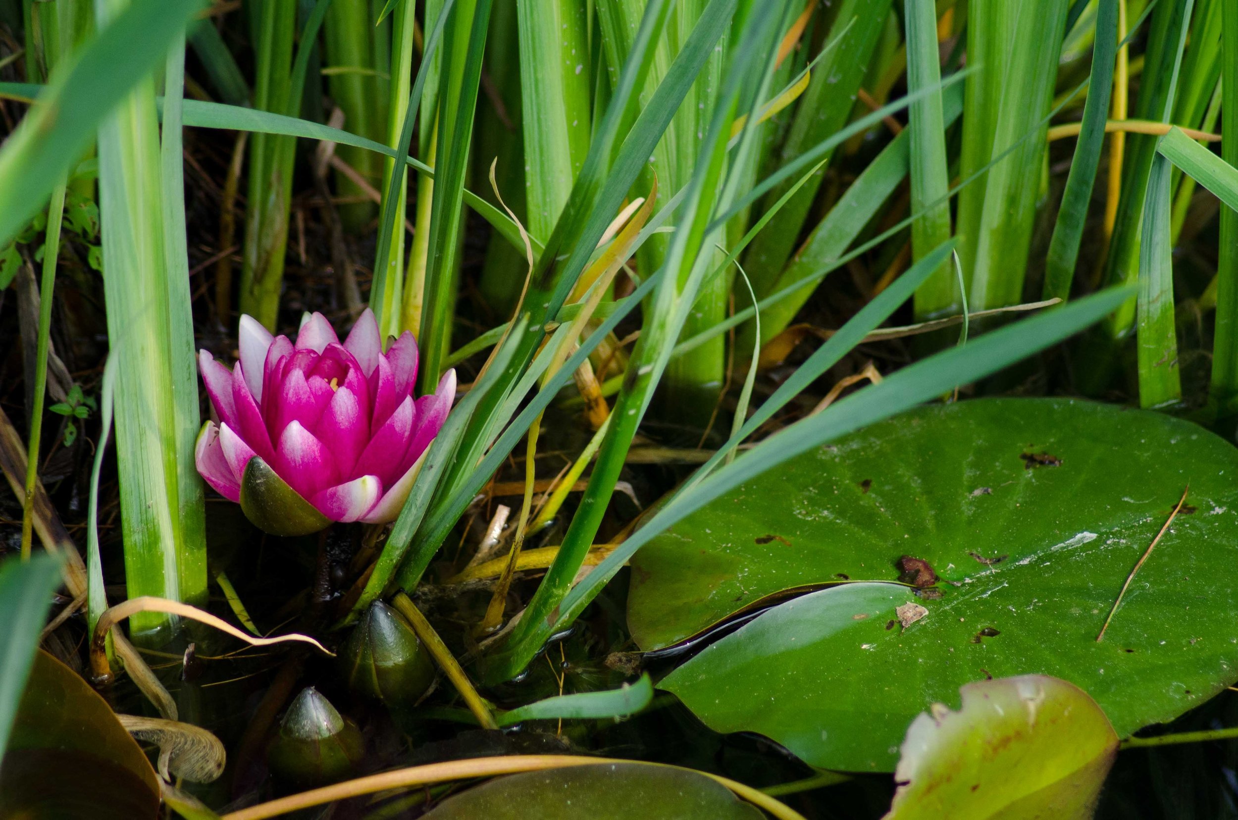 Photo credit Rebecca Trumbull&nbsp;